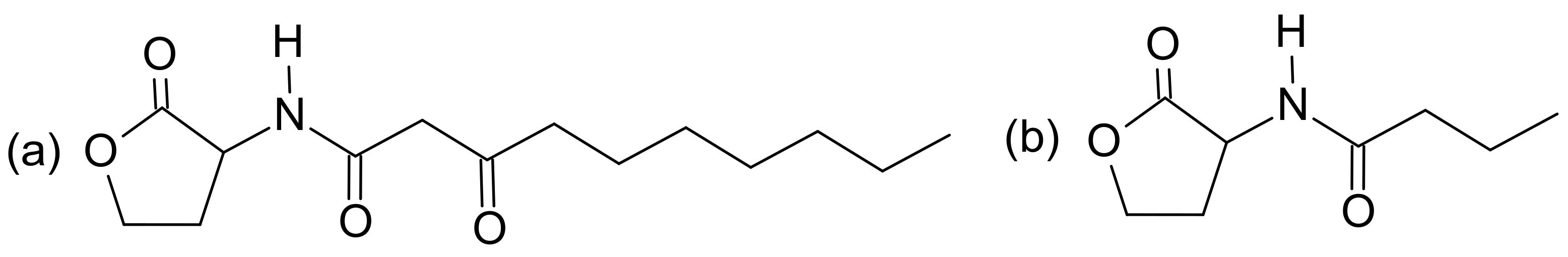 Futurepharmacol 04 00047 g001 Futurepharmacol 04 00047 g001