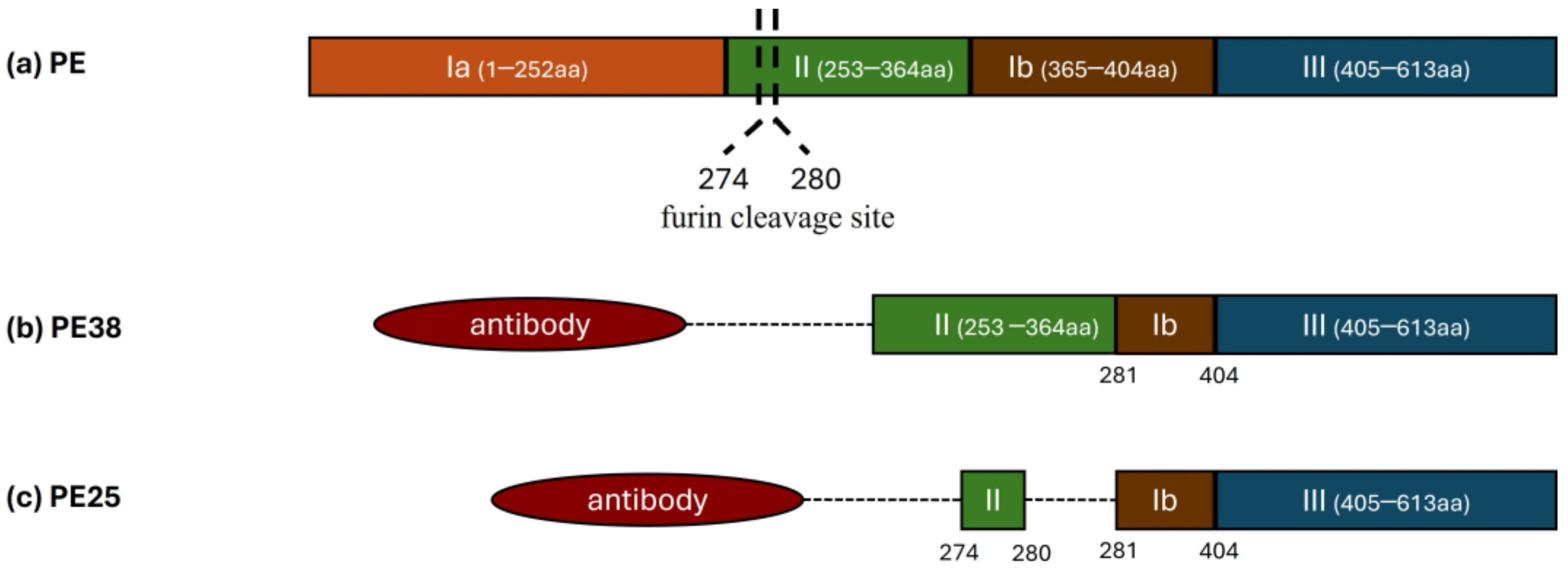 Futurepharmacol 04 00047 g003 Futurepharmacol 04 00047 g003