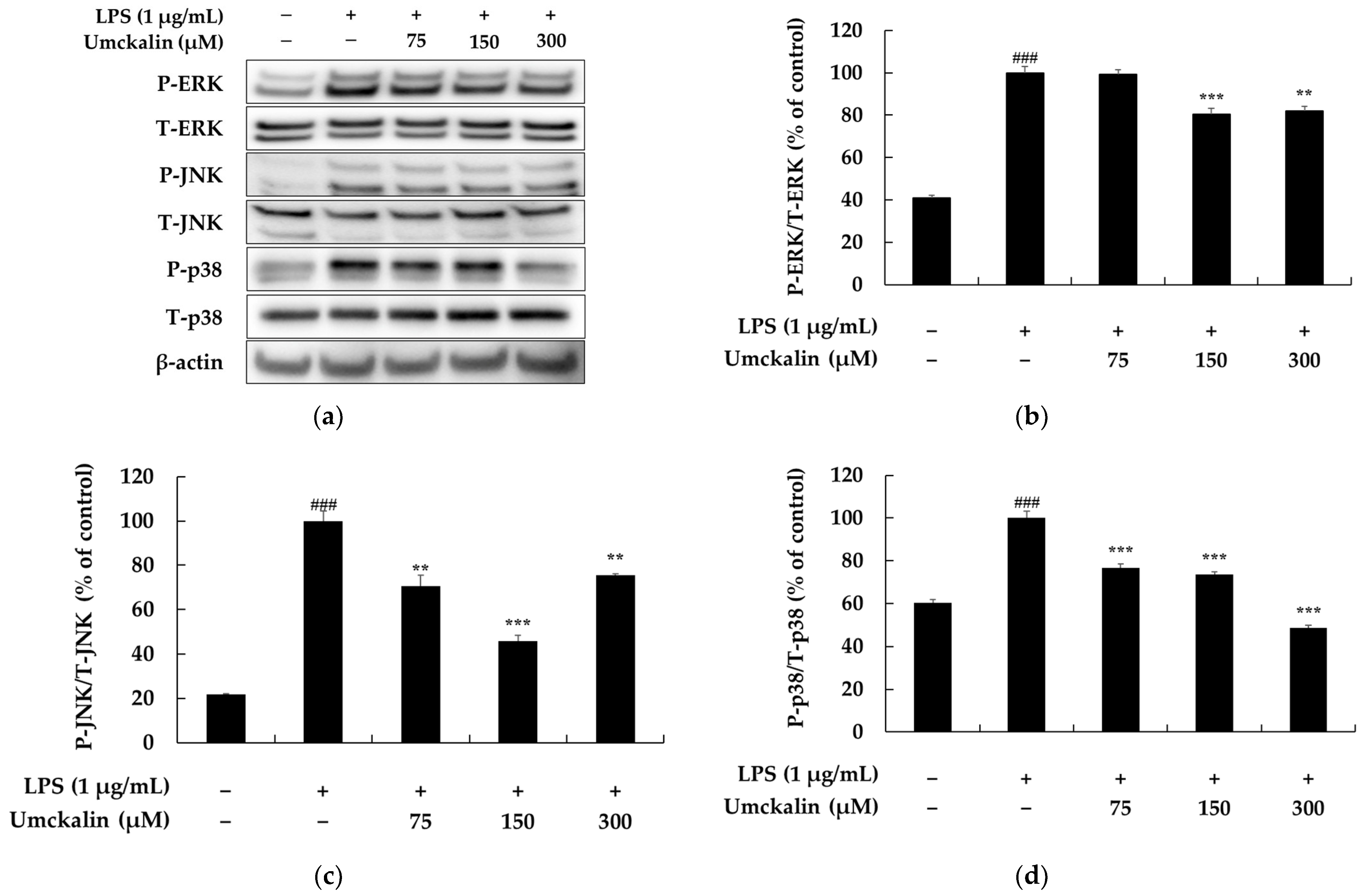 Futurepharmacol 05 00006 g005