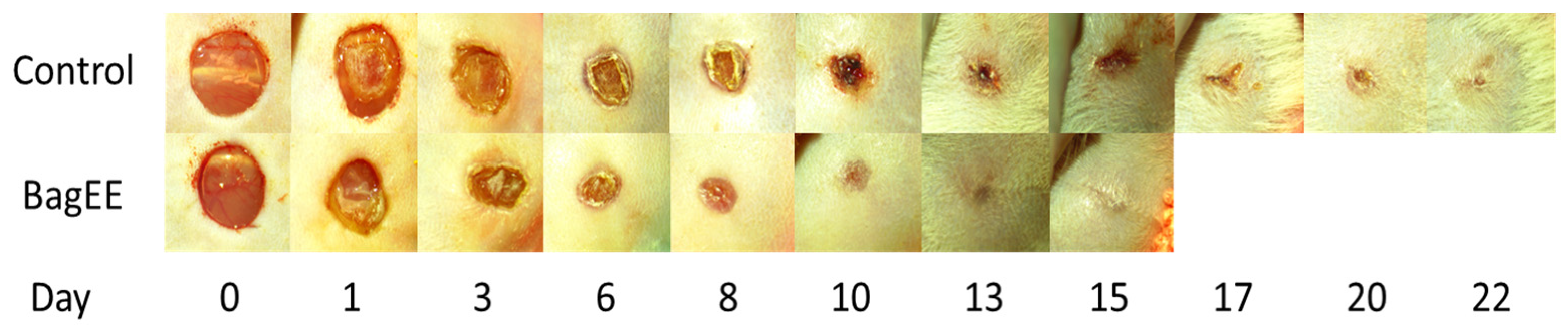 Futurepharmacol 05 00008 g003