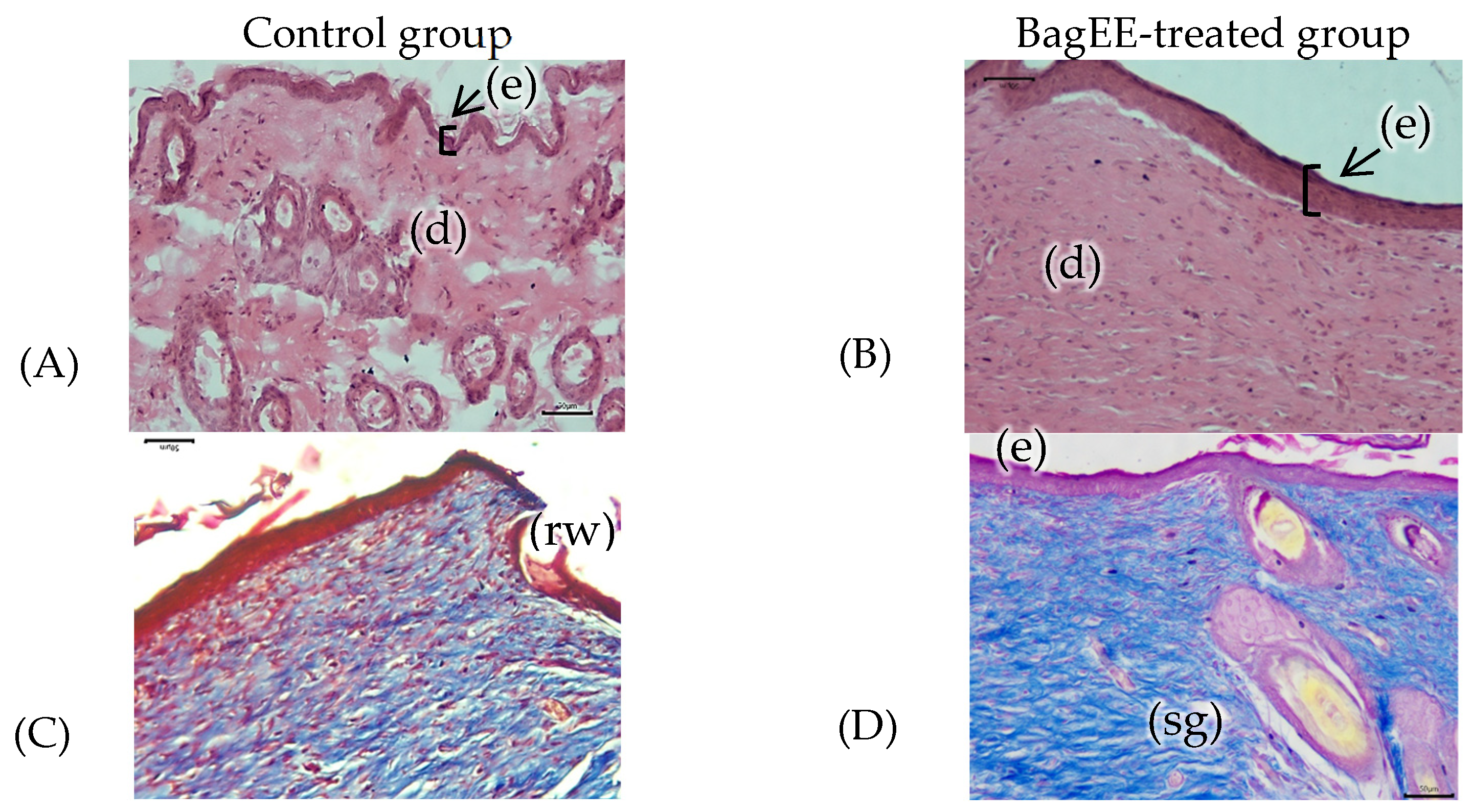 Futurepharmacol 05 00008 g005