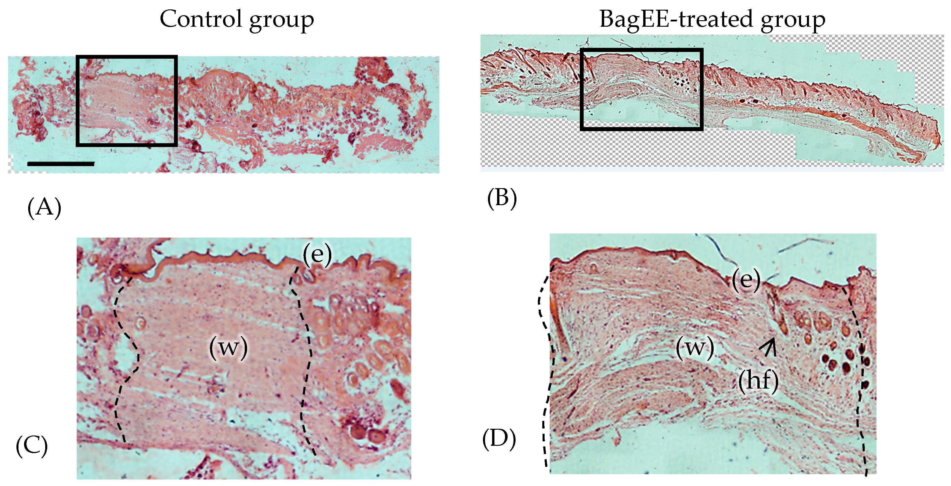 Futurepharmacol 05 00008 g006