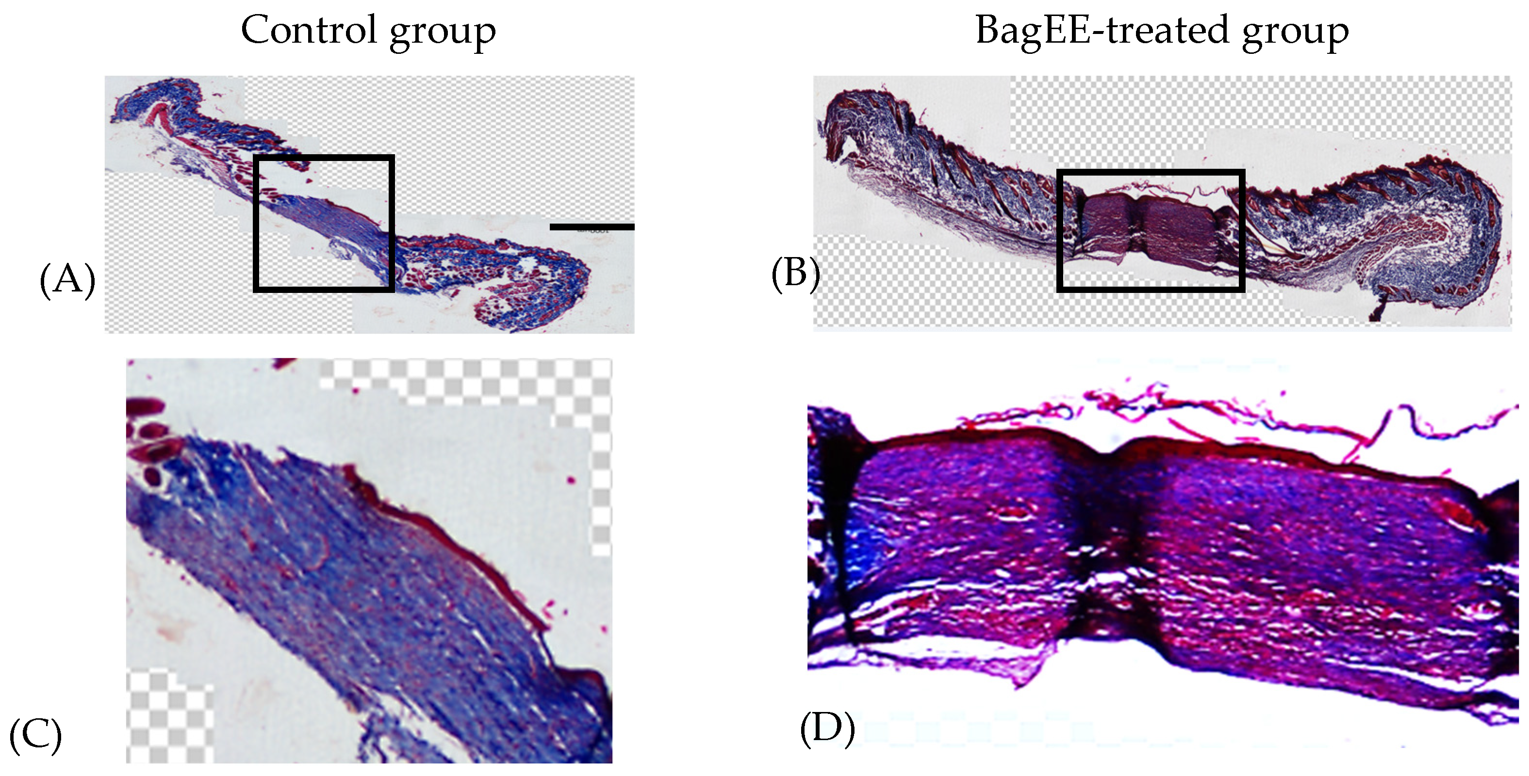 Futurepharmacol 05 00008 g007