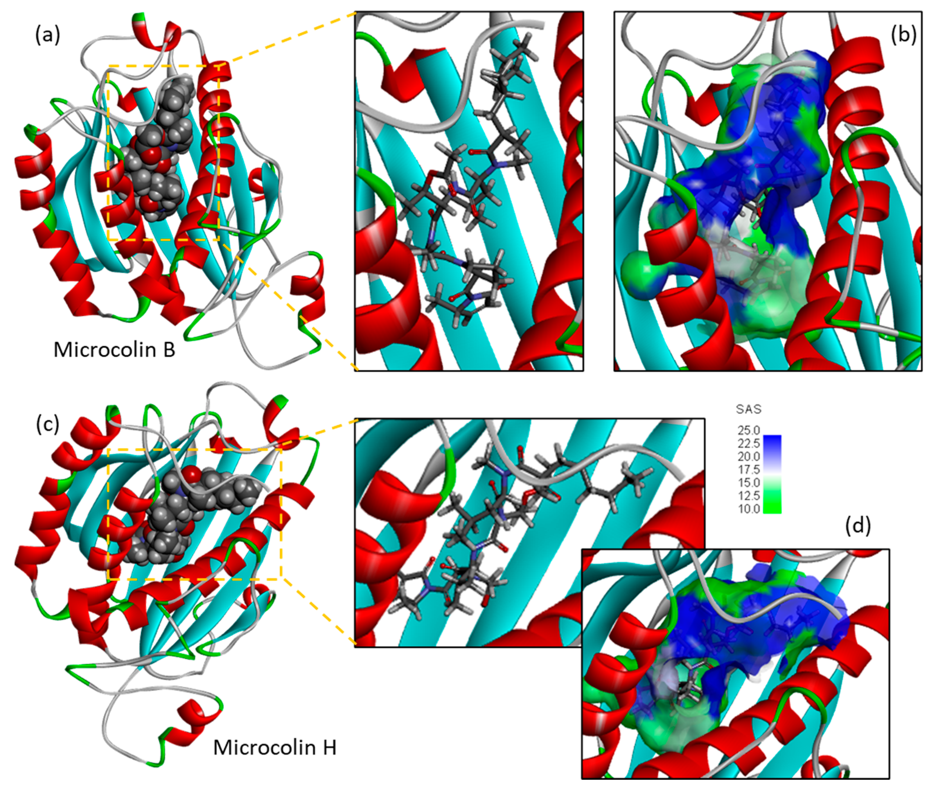 Futurepharmacol 05 00013 g003