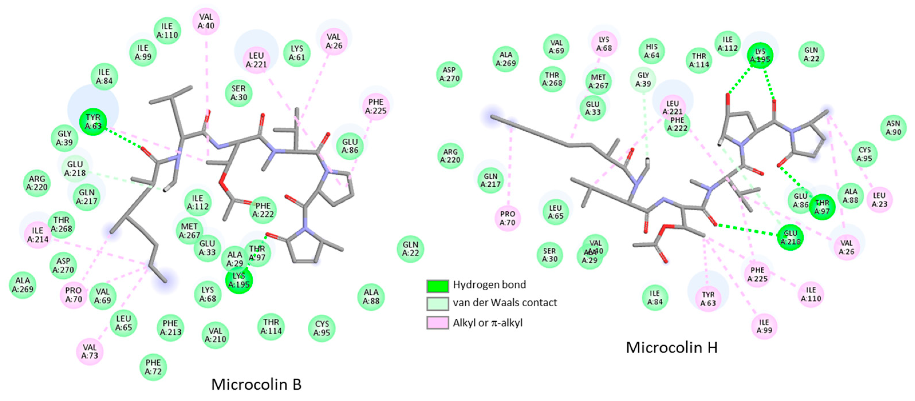 Futurepharmacol 05 00013 g004