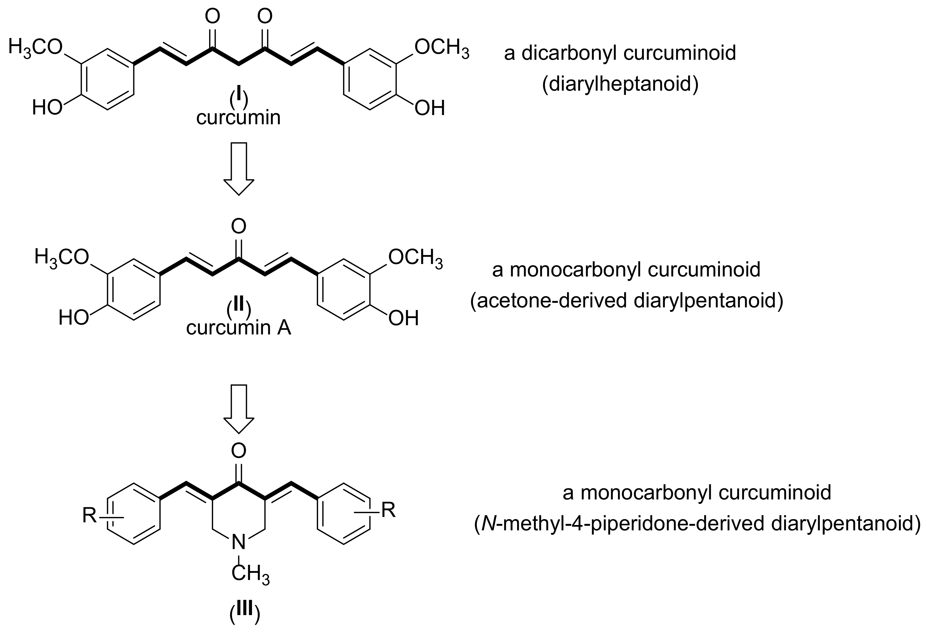 Futurepharmacol 05 00023 g001