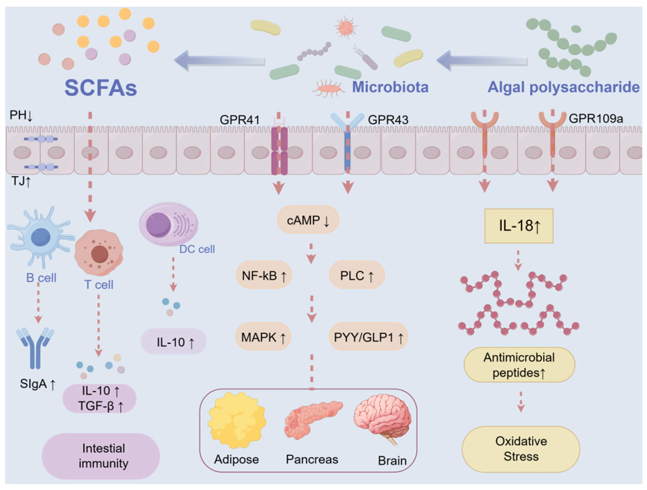 Futurepharmacol 05 00029 g003 Futurepharmacol 05 00029 g003