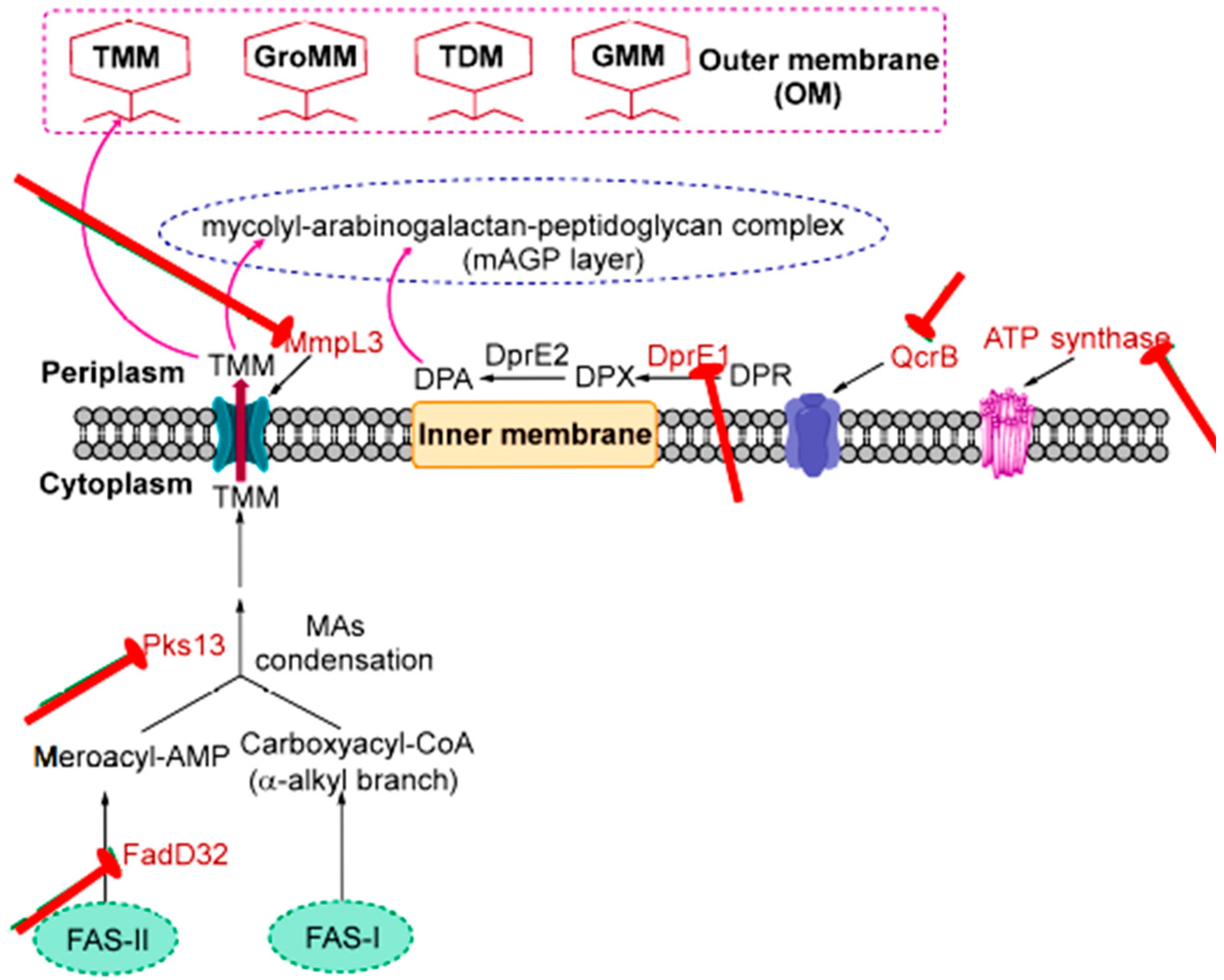 Futurepharmacol 05 00032 g001