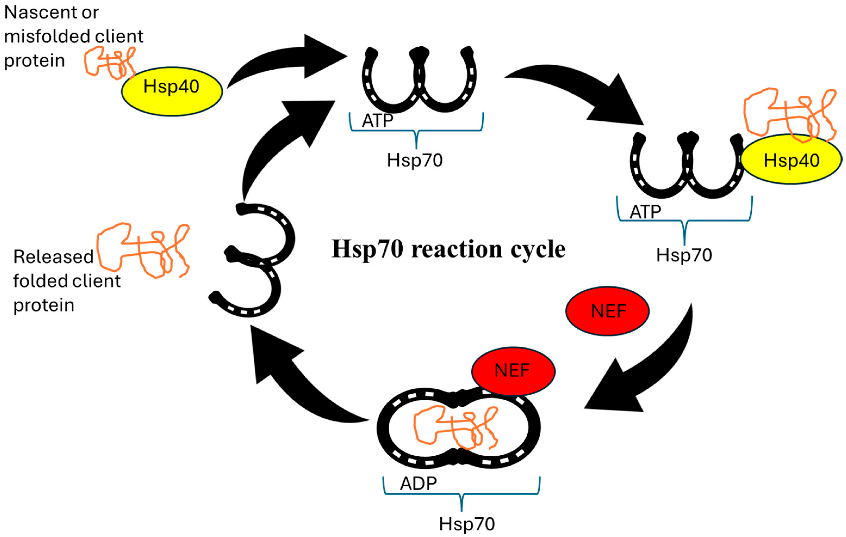 Futurepharmacol 05 00032 g002