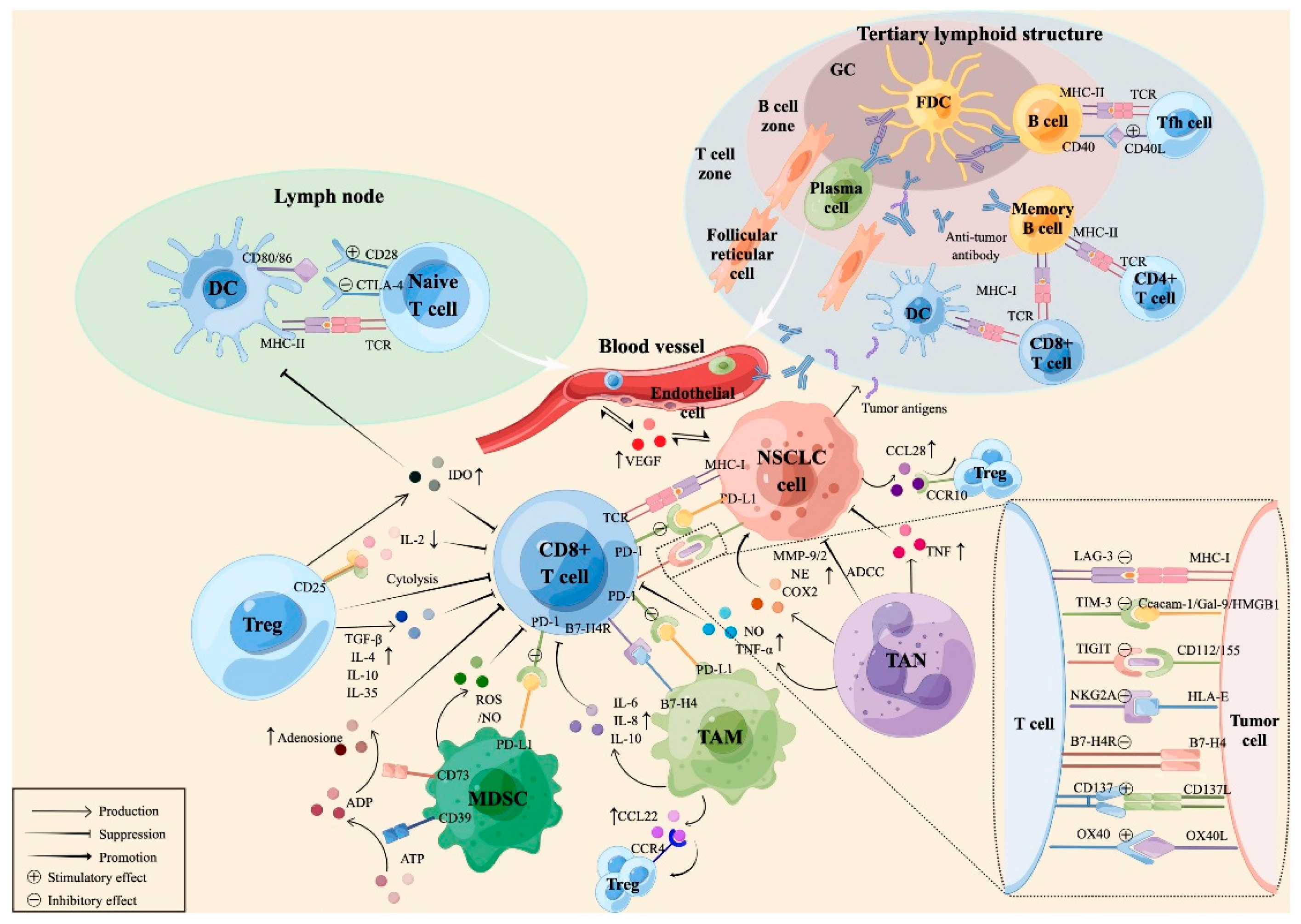 Futurepharmacol 05 00034 g001 Futurepharmacol 05 00034 g001