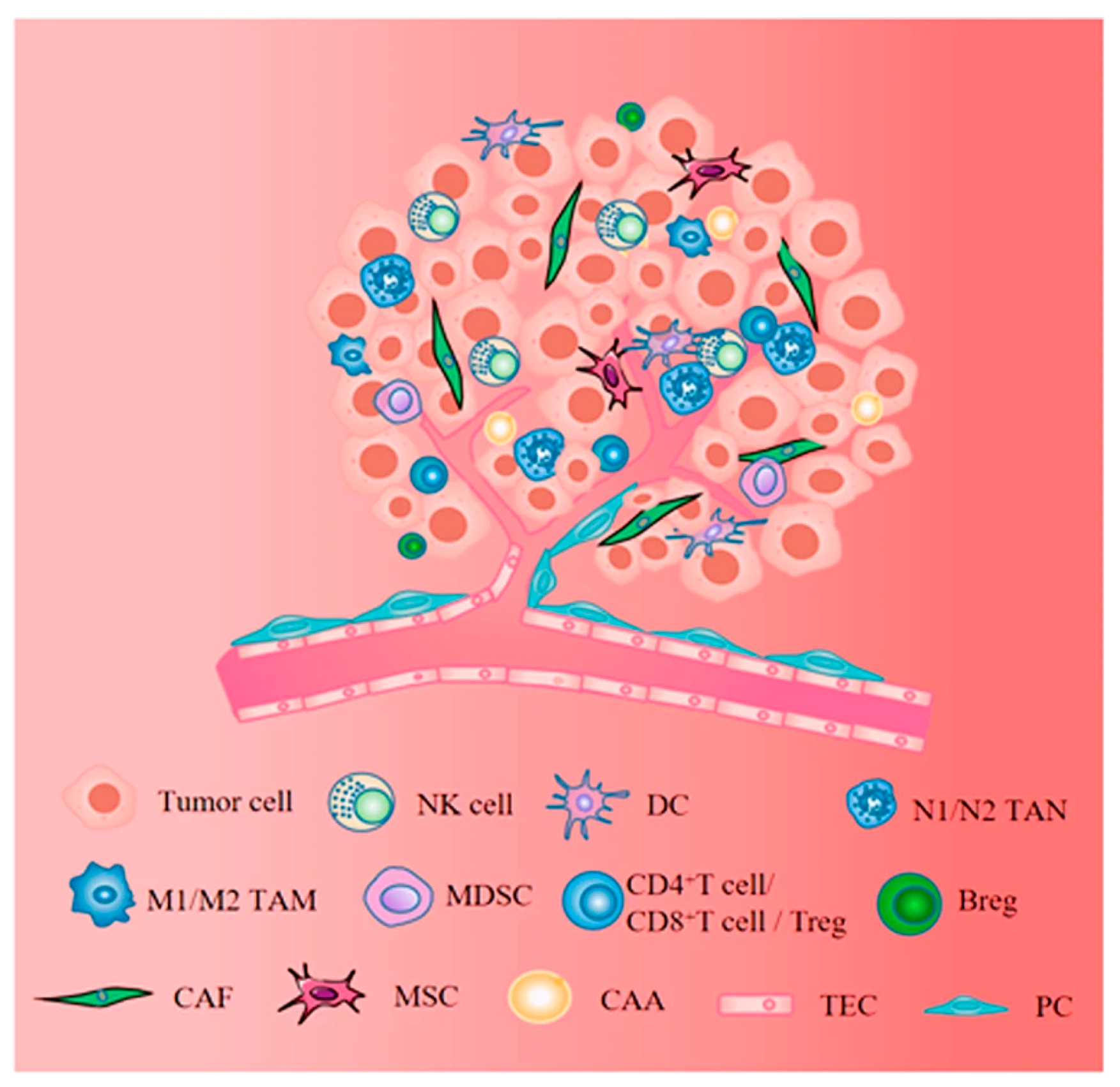 Futurepharmacol 05 00034 g002 Futurepharmacol 05 00034 g002