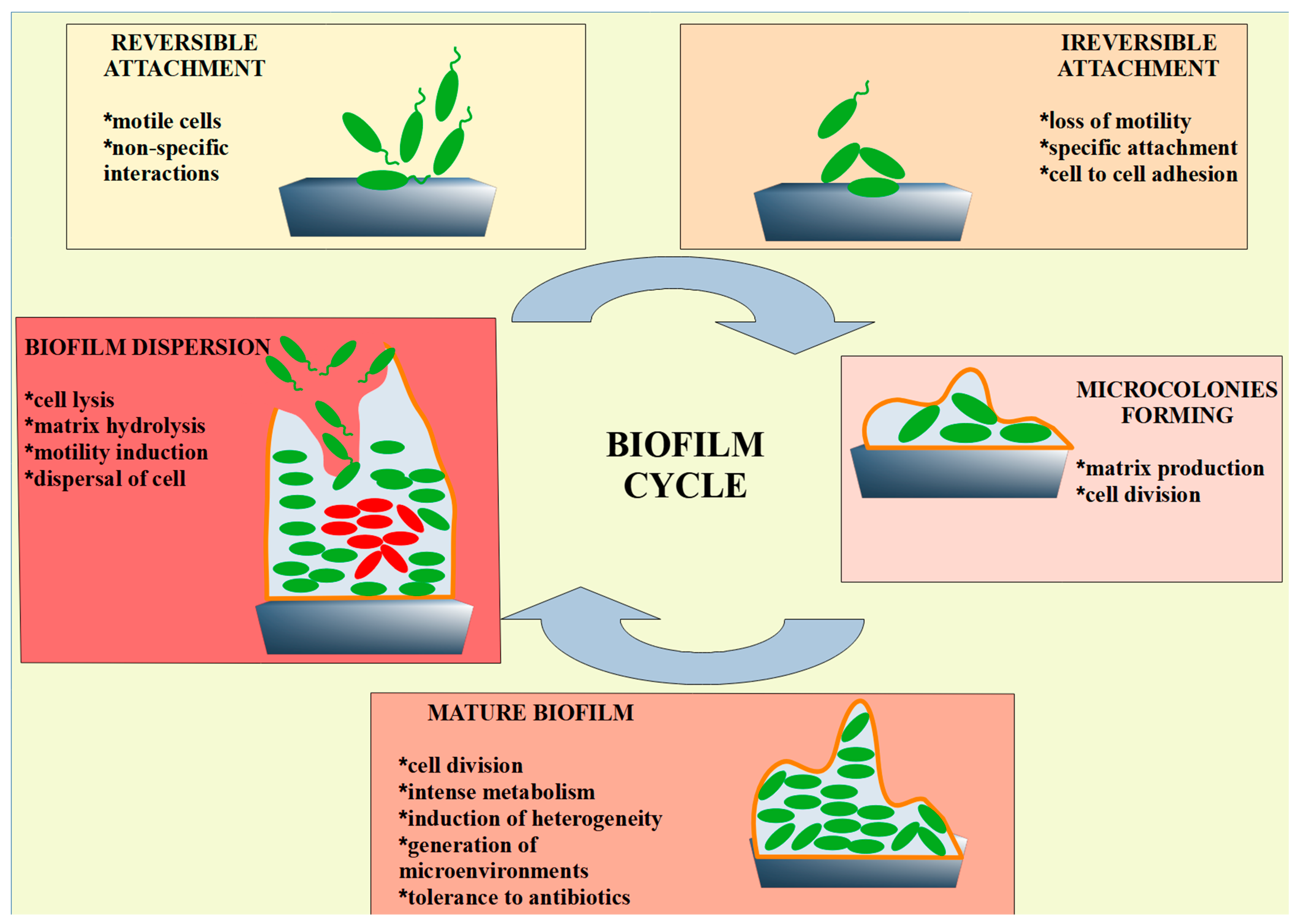 Futurepharmacol 05 00035 g001