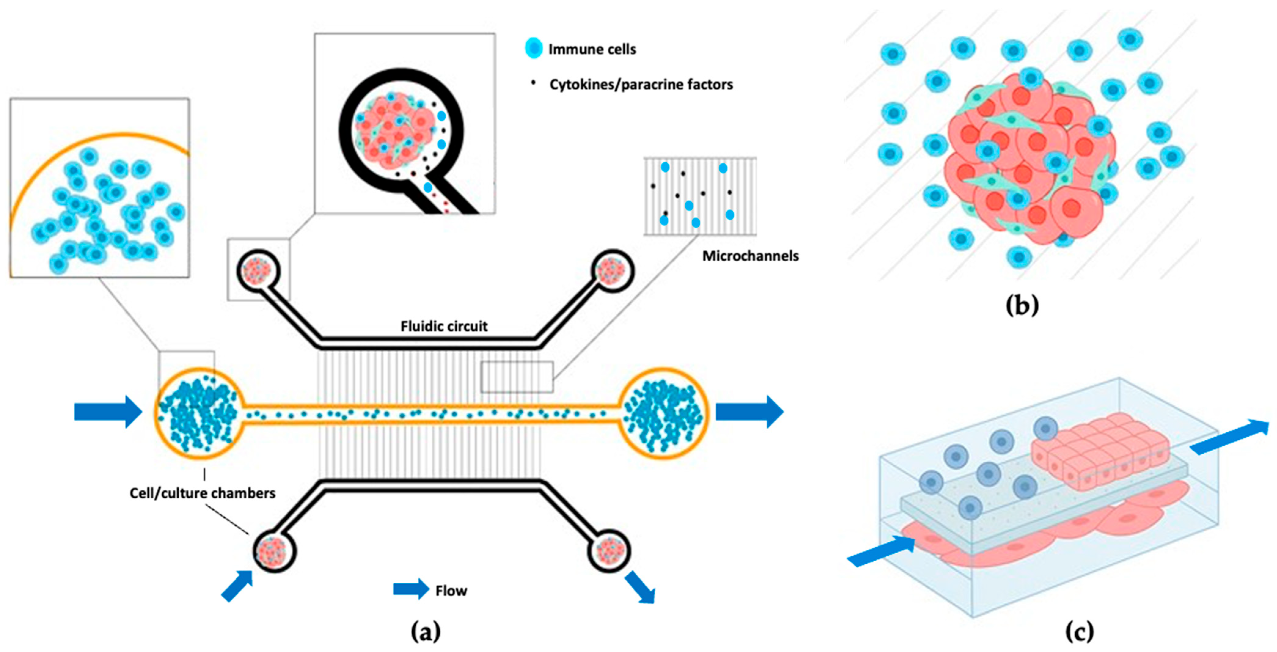 Futurepharmacol 05 00036 g004