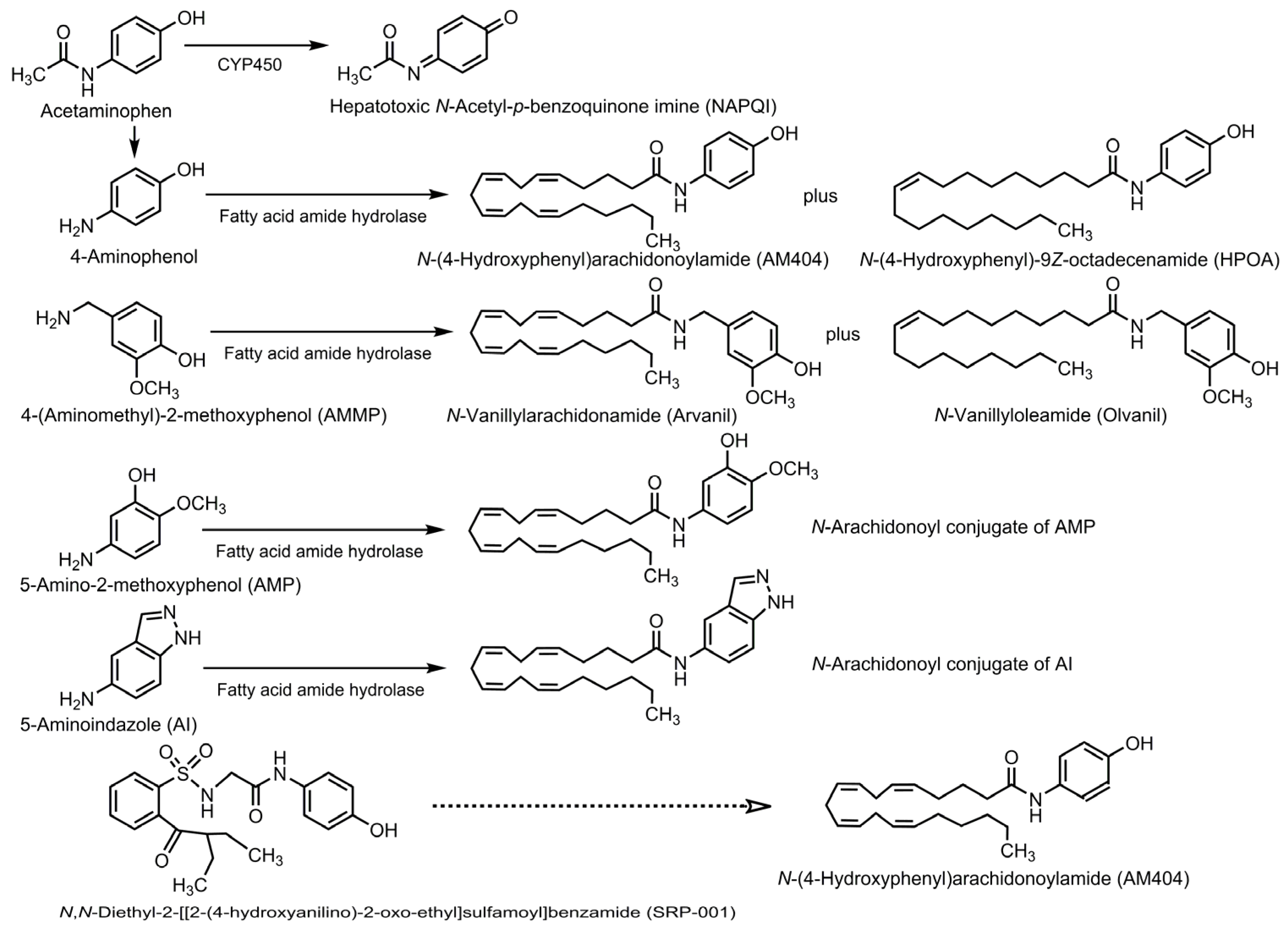 Futurepharmacol 05 00040 g008