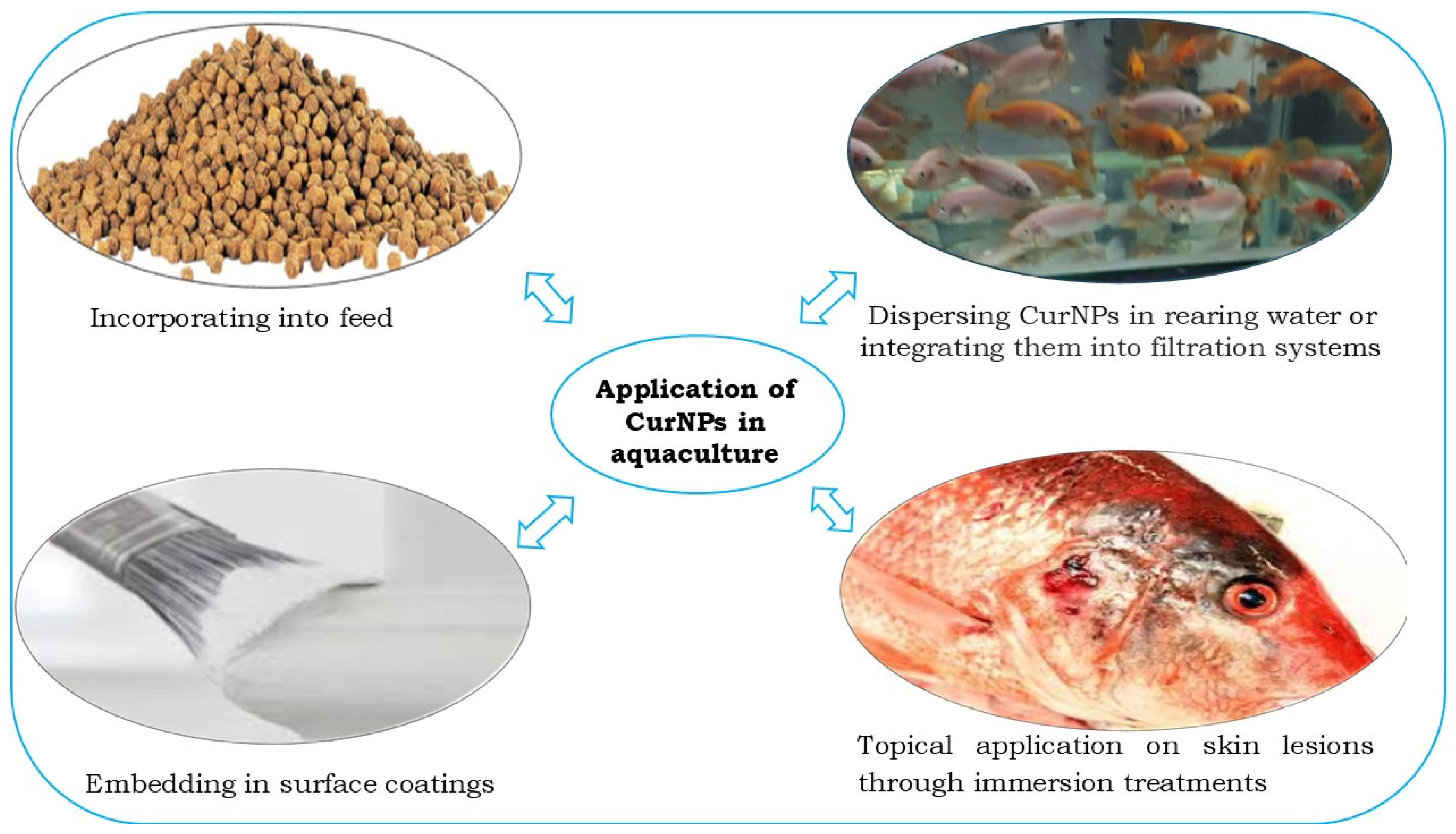 Futurepharmacol 05 00044 g003