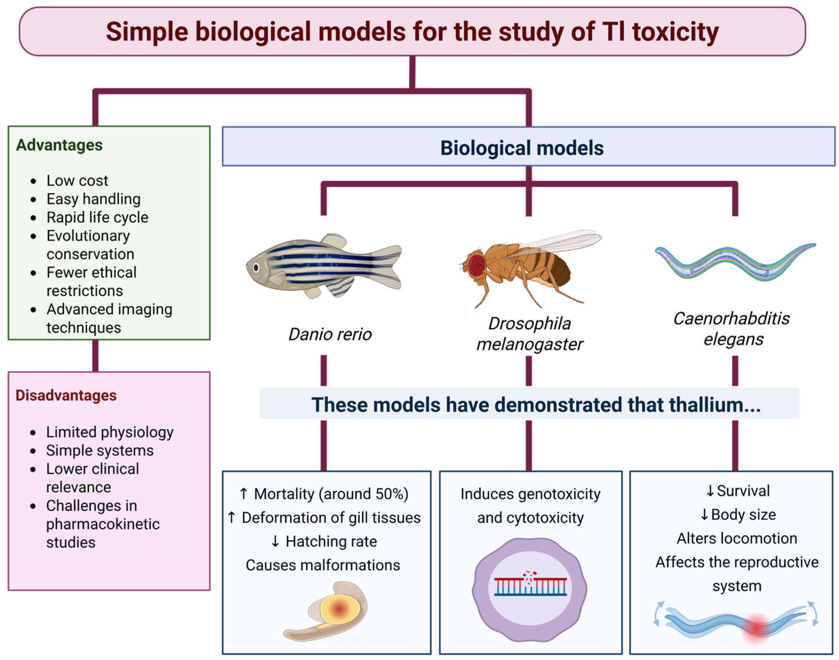 Futurepharmacol 05 00049 g003