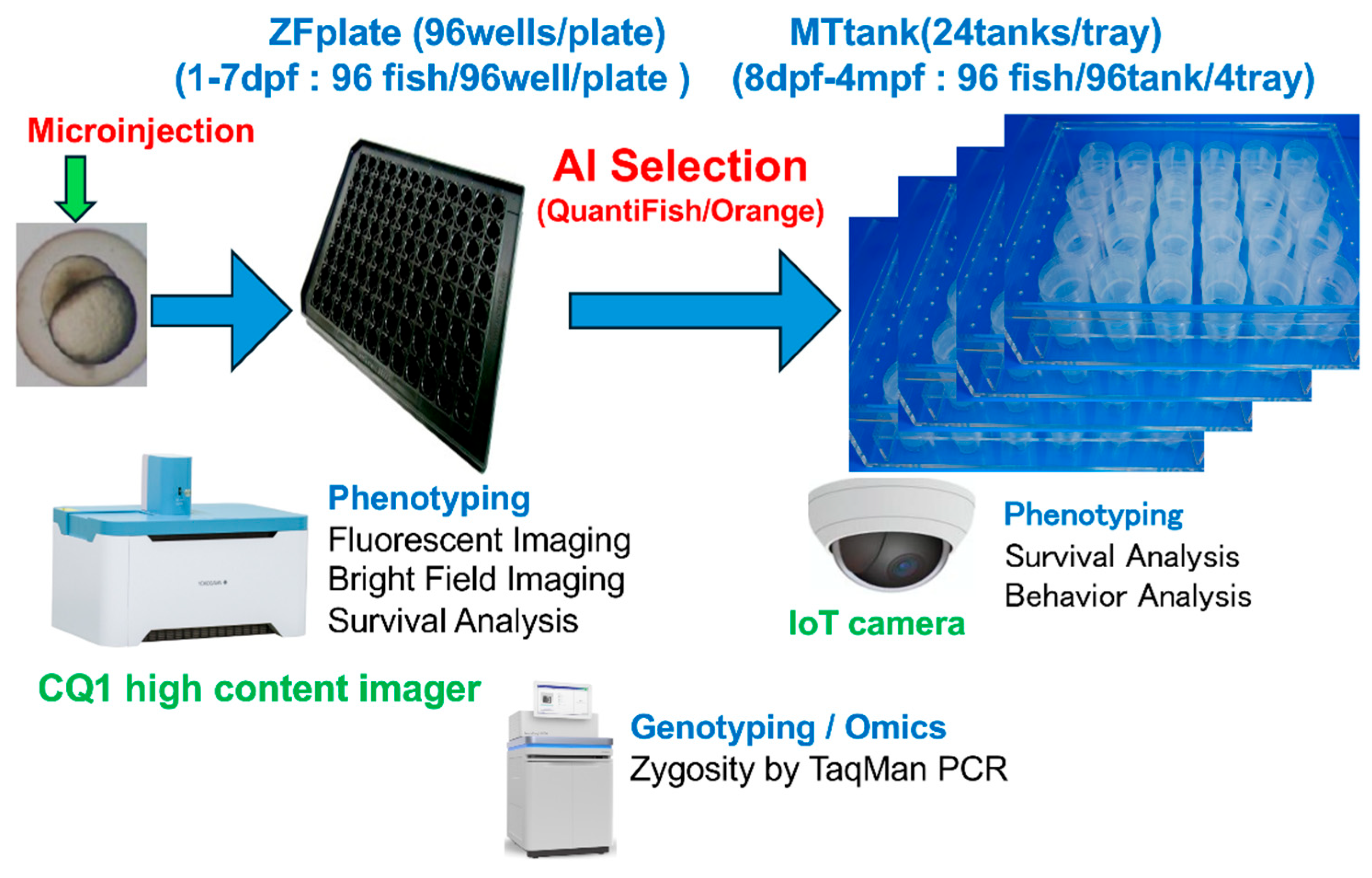 Futurepharmacol 05 00050 g001