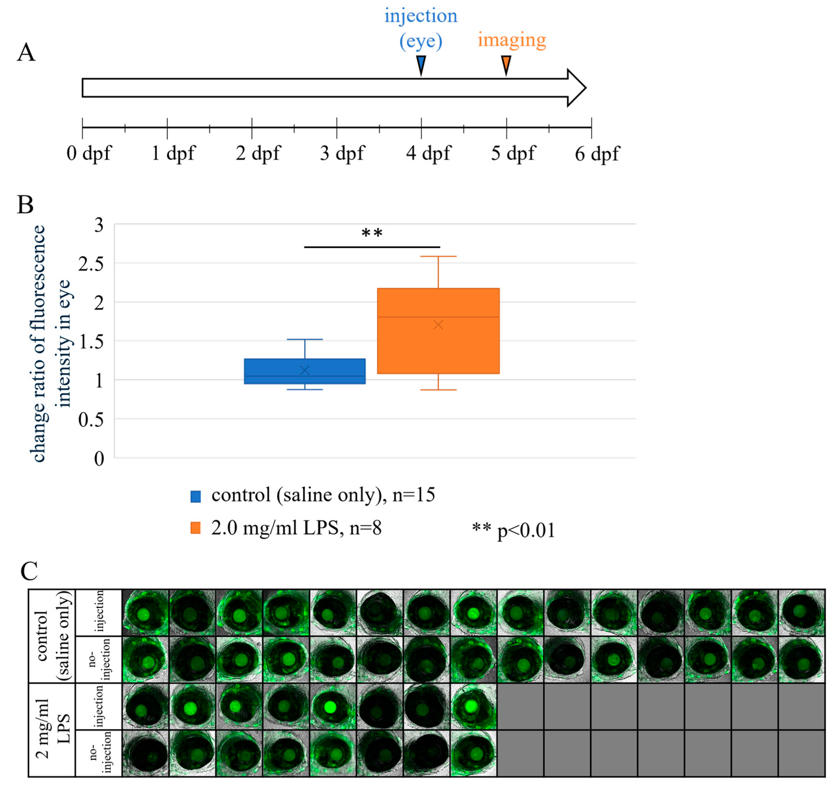 Futurepharmacol 05 00050 g005