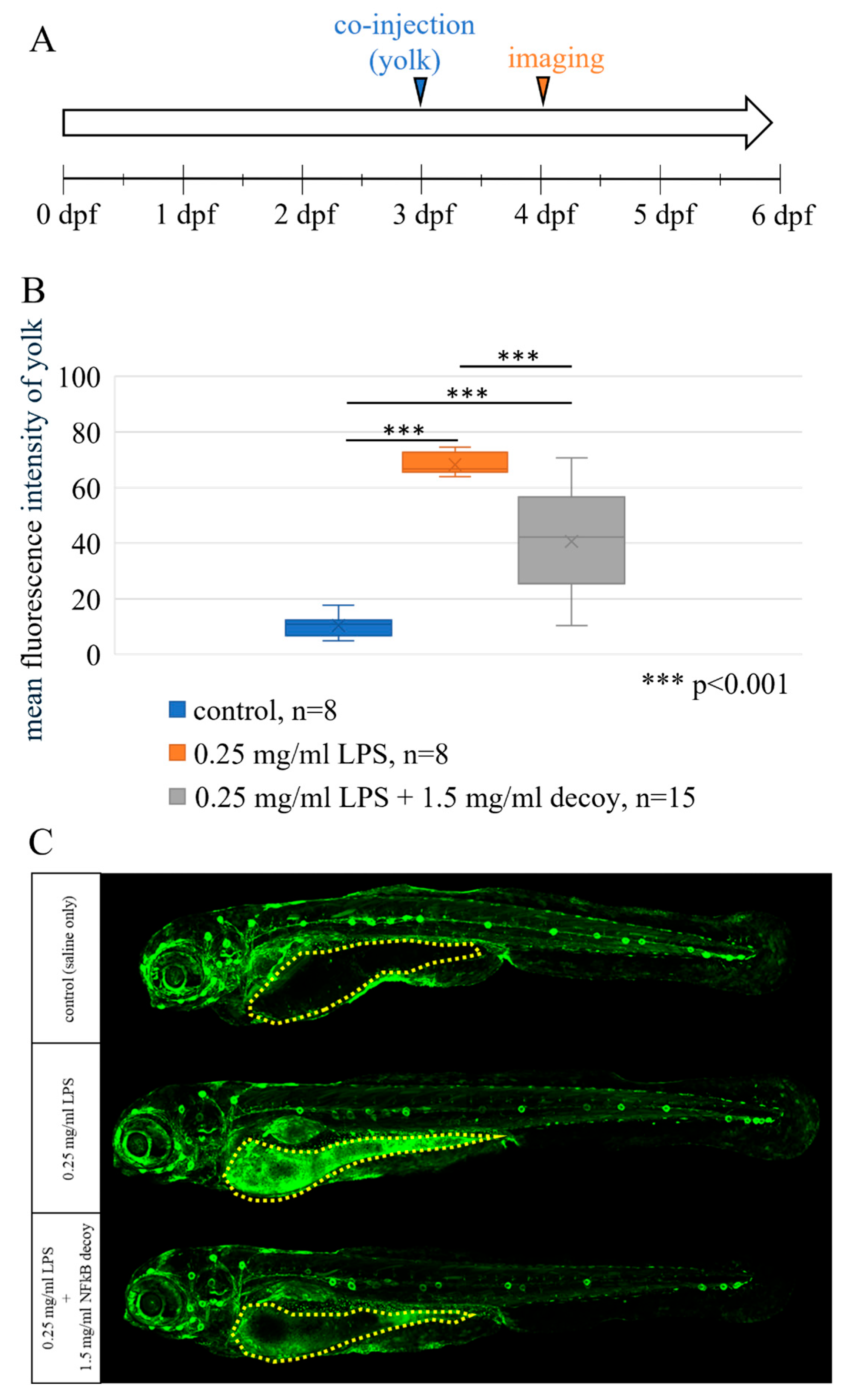 Futurepharmacol 05 00050 g006
