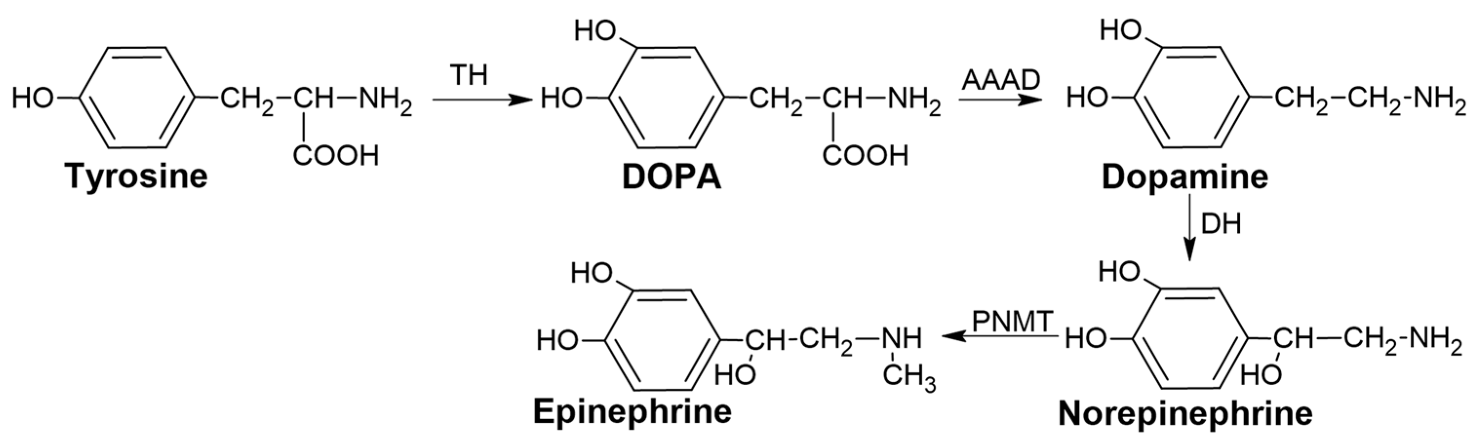 Futurepharmacol 05 00051 g001 Futurepharmacol 05 00051 g001