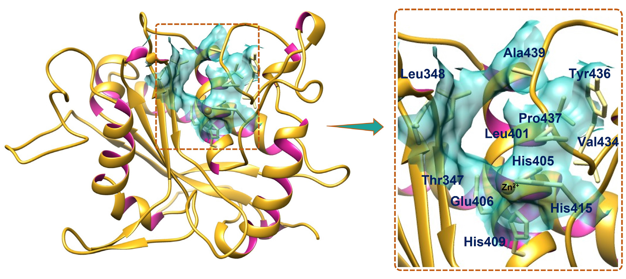 Futurepharmacol 05 00055 g002