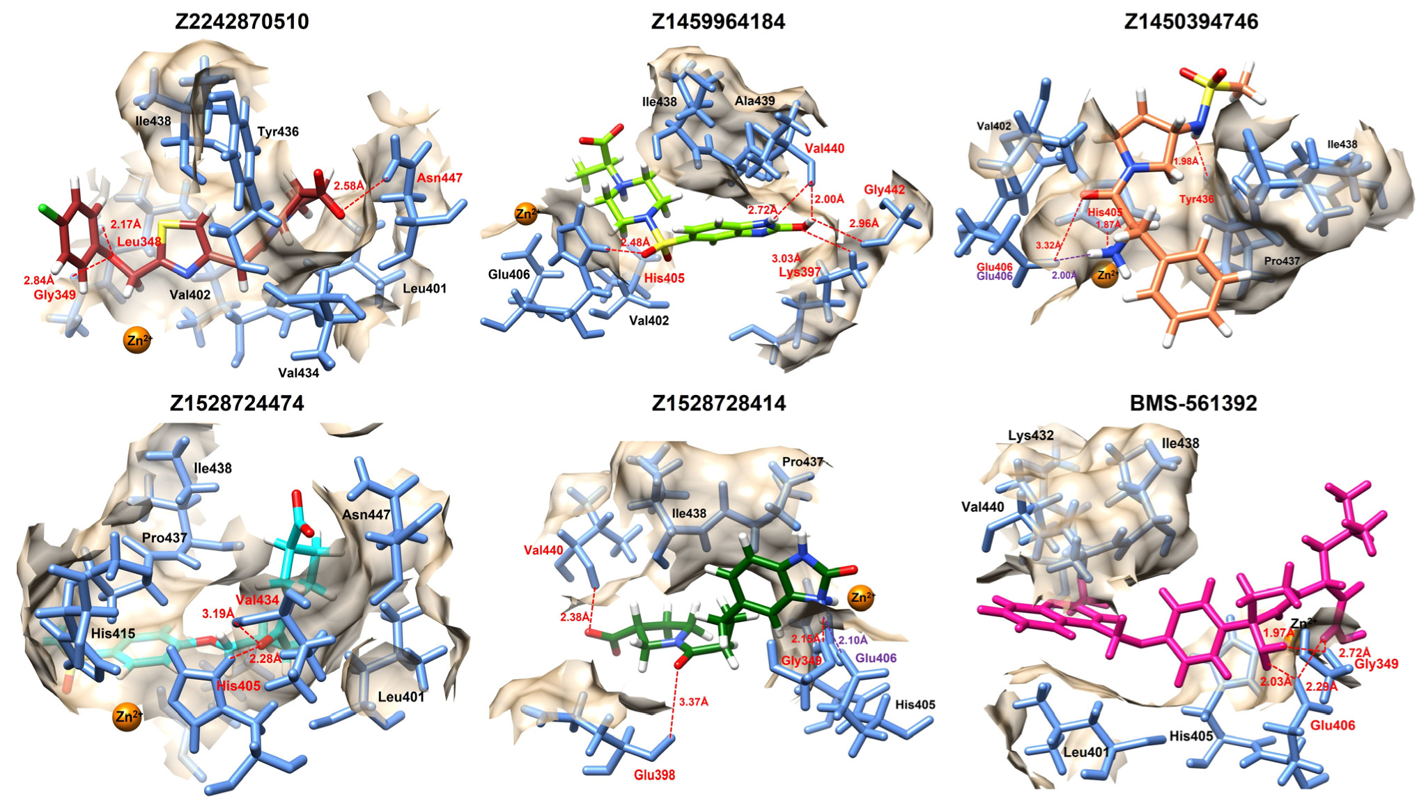 Futurepharmacol 05 00055 g003