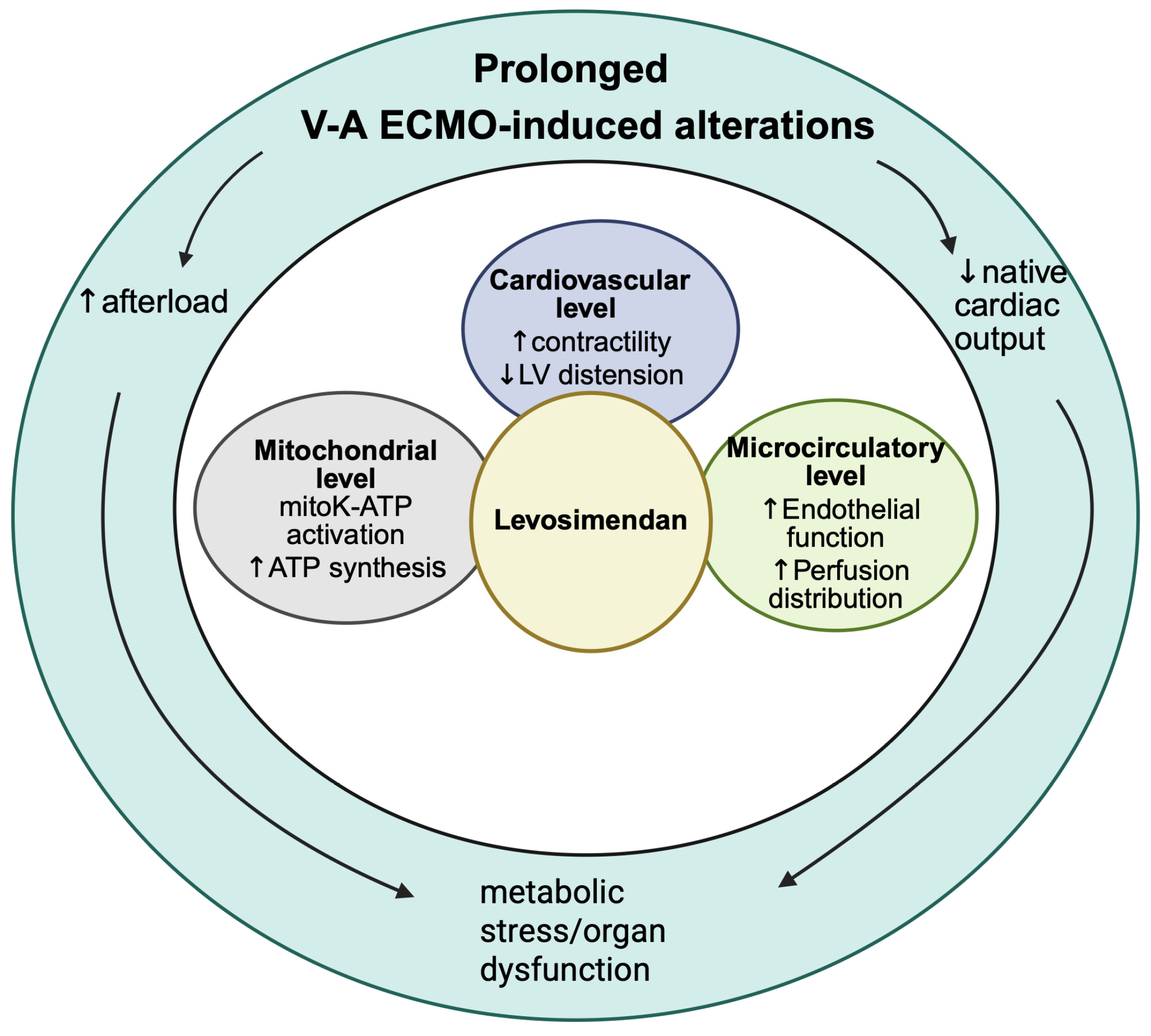 Futurepharmacol 05 00070 g002