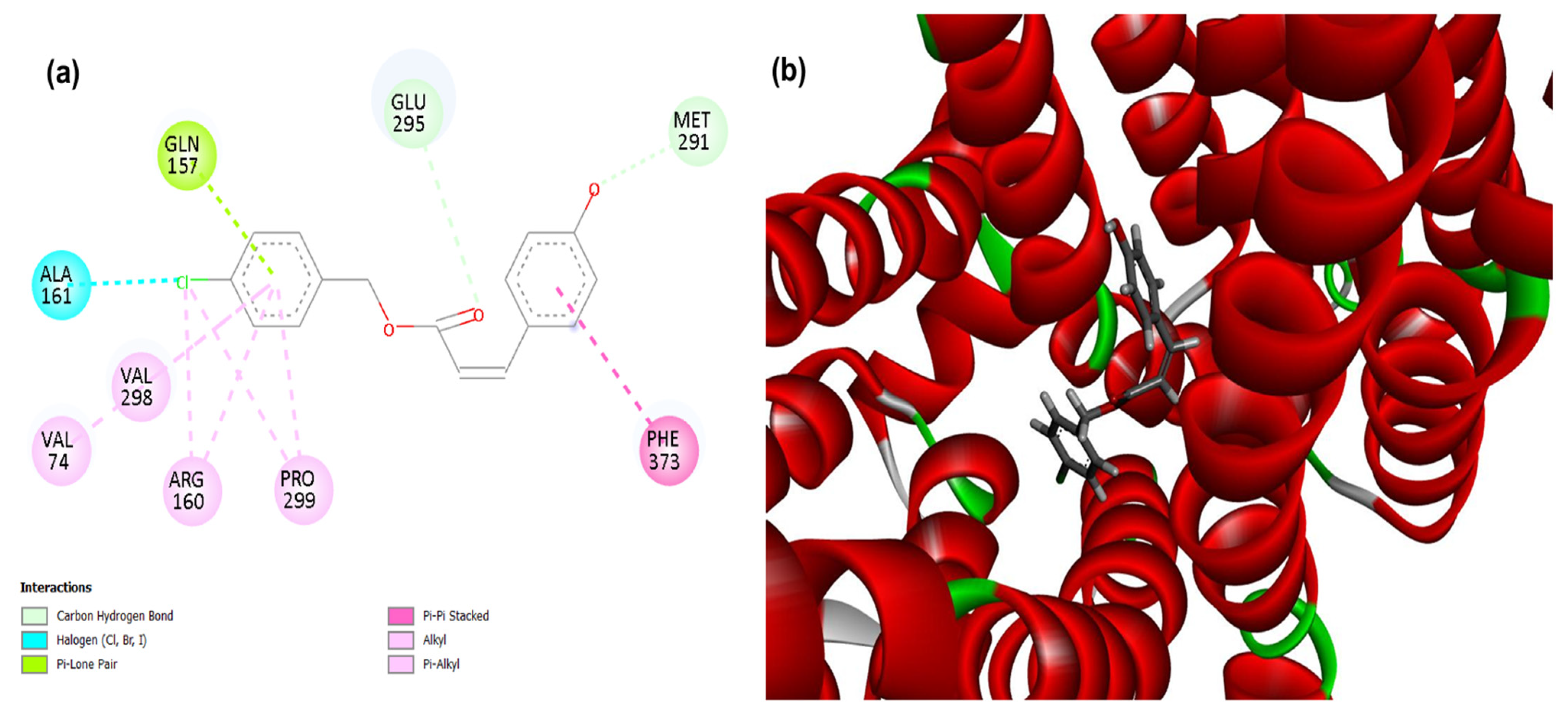 Futurepharmacol 05 00071 g004