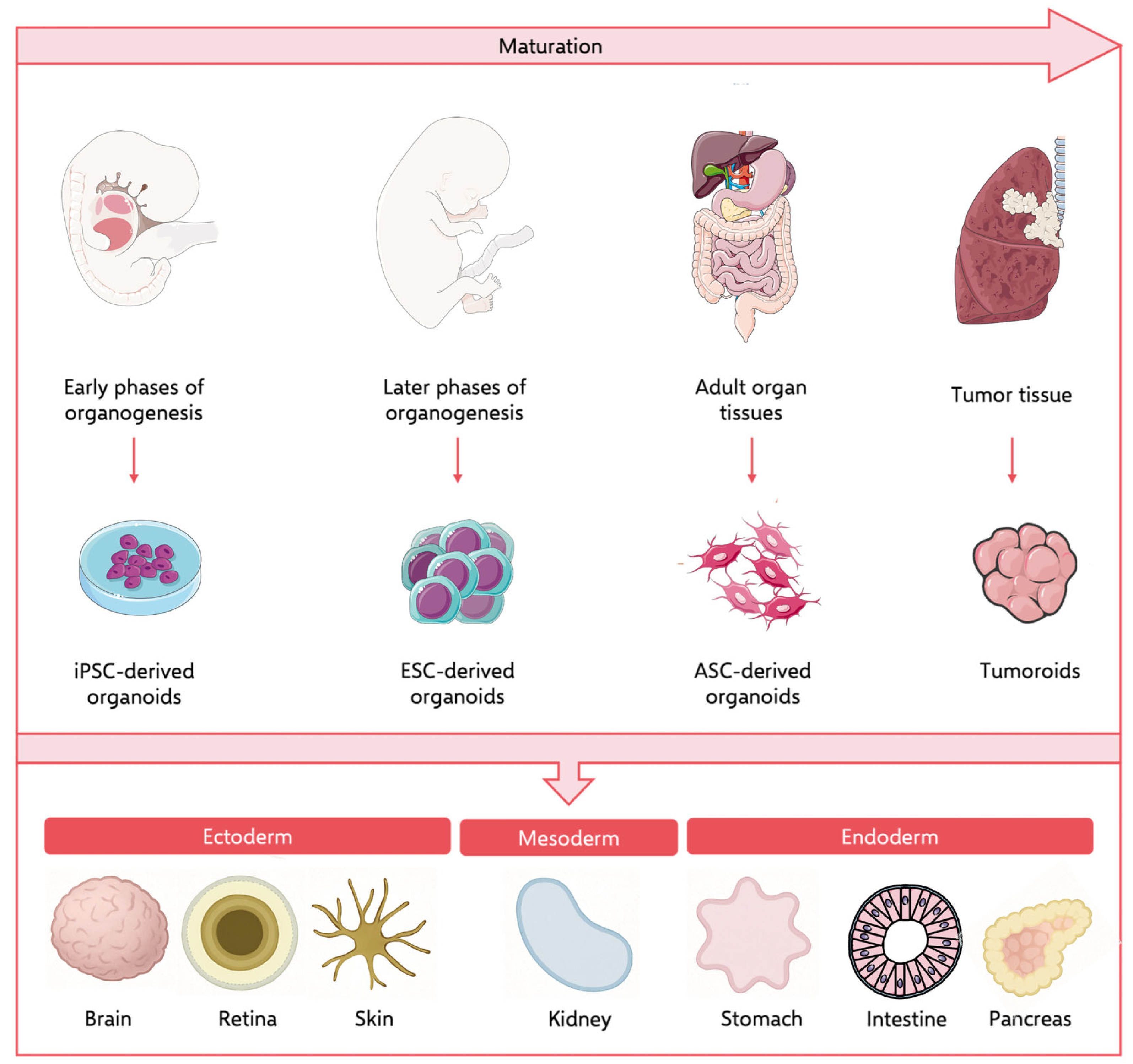 Futurepharmacol 05 00074 g002 Futurepharmacol 05 00074 g002