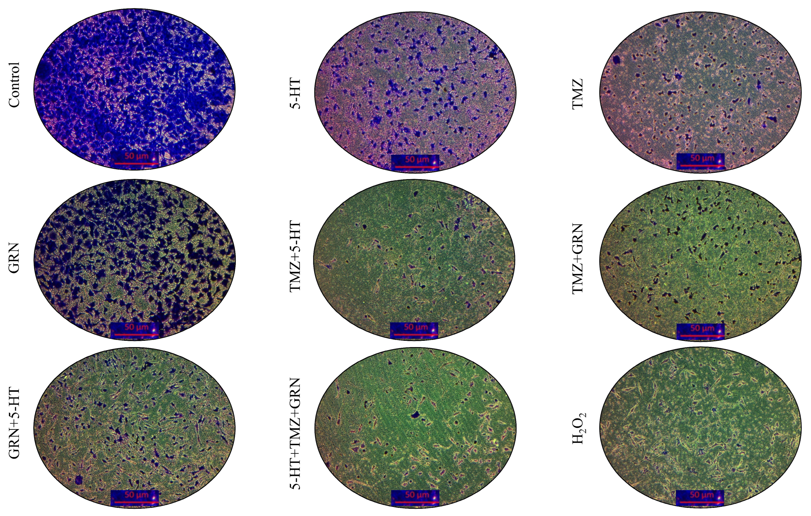 Futurepharmacol 06 00003 g004