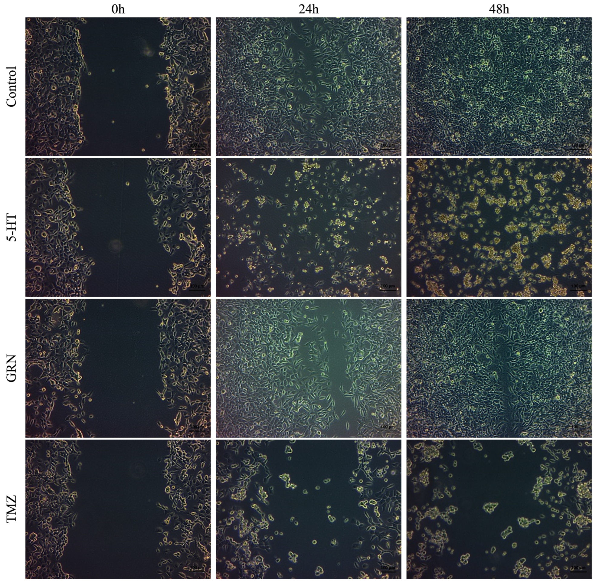 Futurepharmacol 06 00003 g007