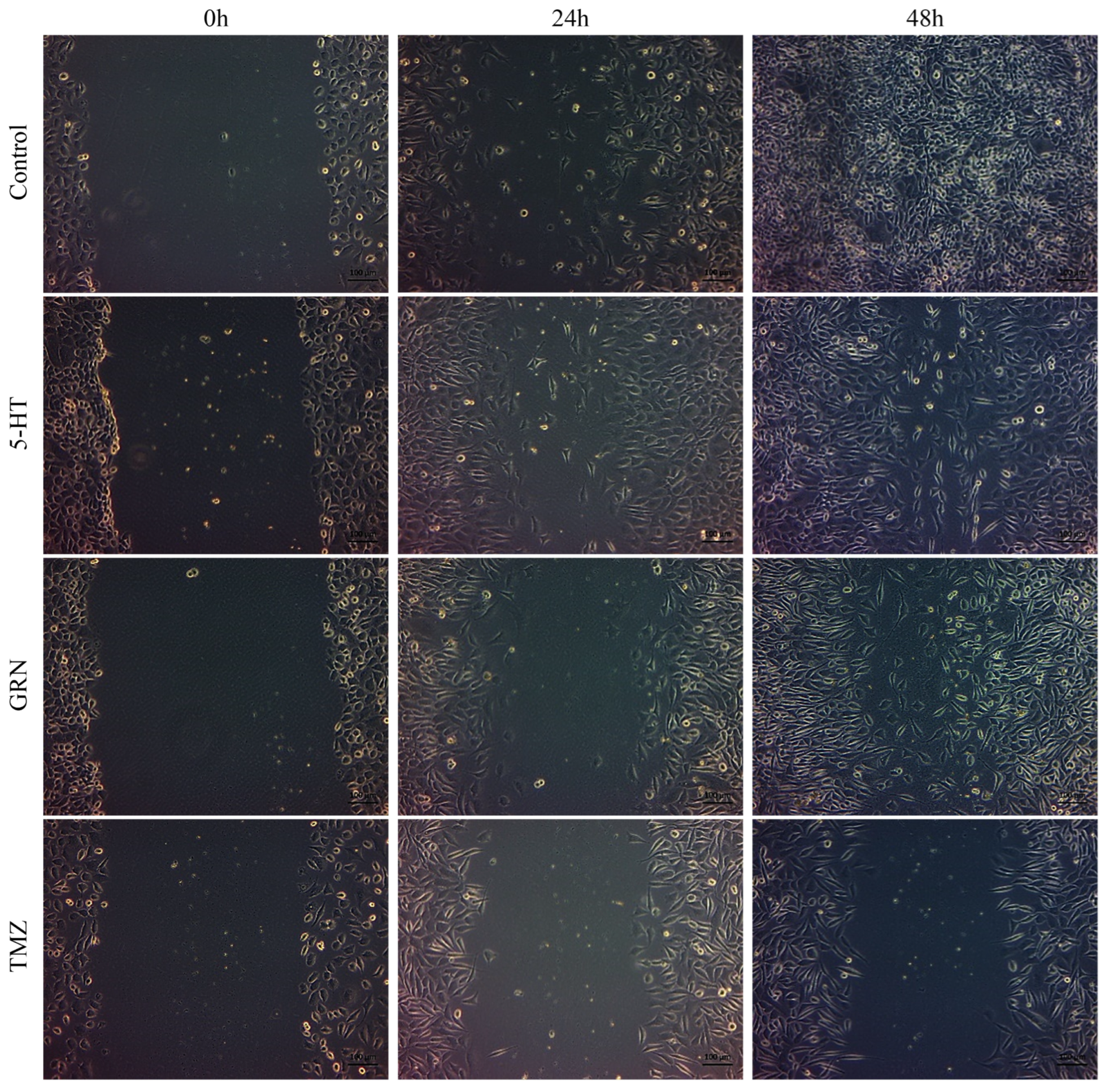 Futurepharmacol 06 00003 g009