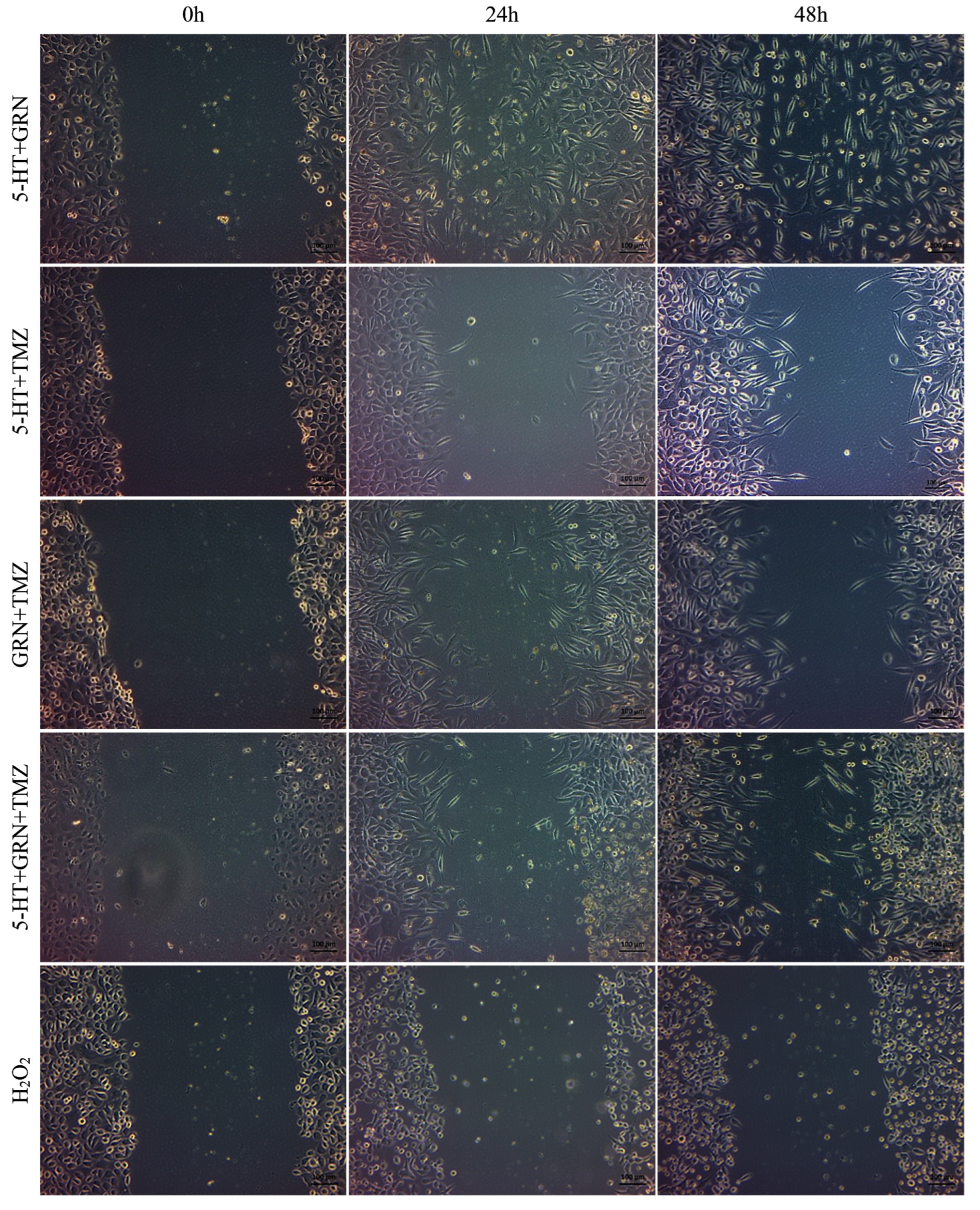 Futurepharmacol 06 00003 g010