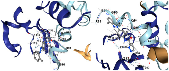 リクエスト品 Toxicity Mechanism of 2,3,7,8-Tetrachlorodibenzo-p-dioxin (TCDD