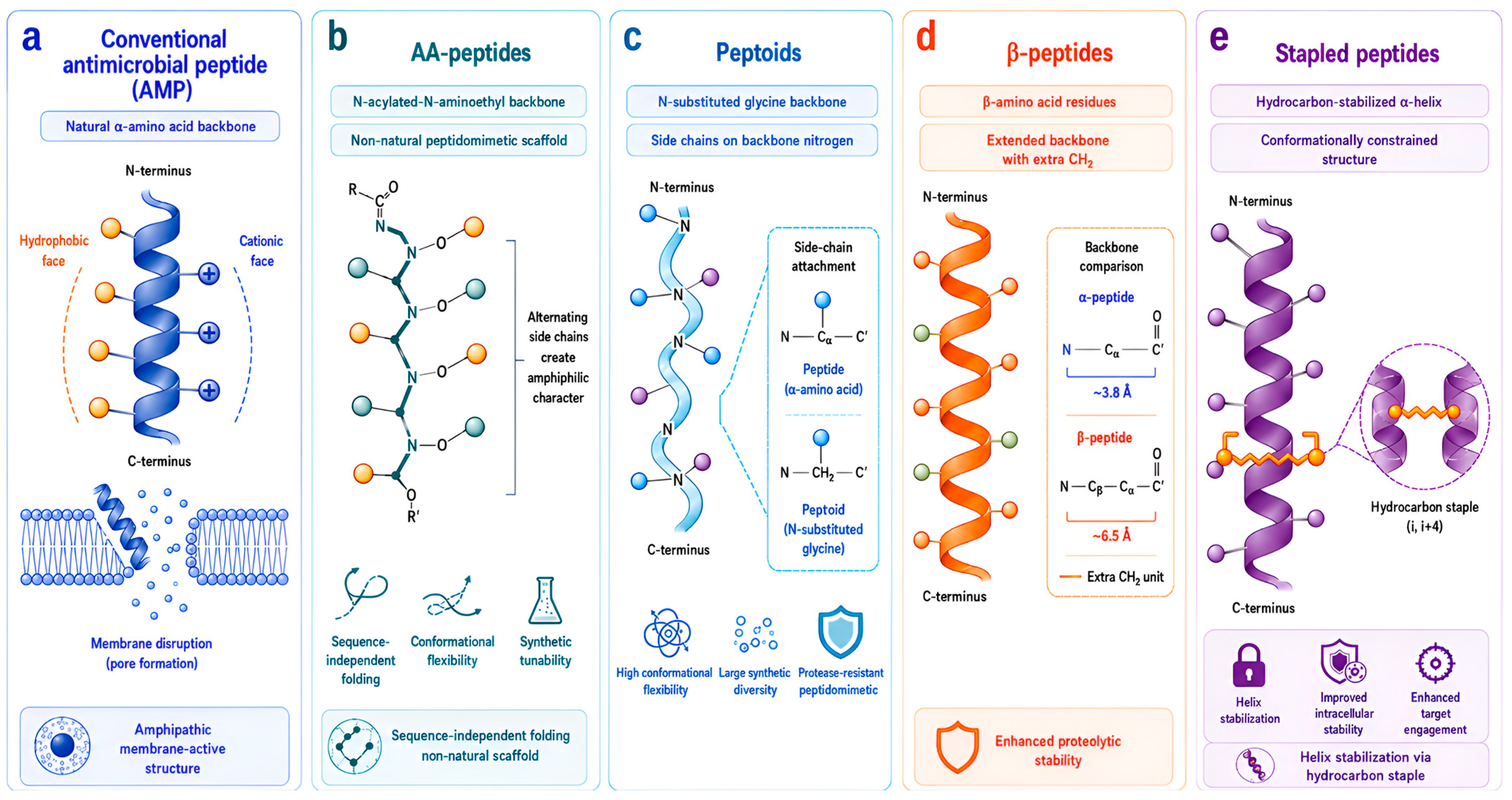 Antimicrobial Peptides Against ESKAPE Pathogens: Mechanisms