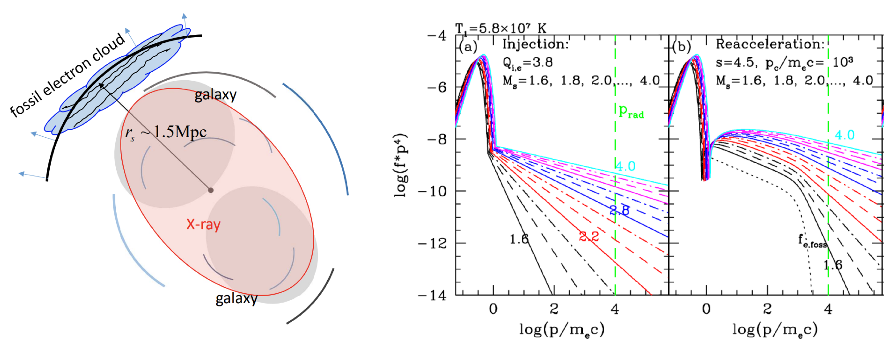 Galaxies 12 00019 g003
