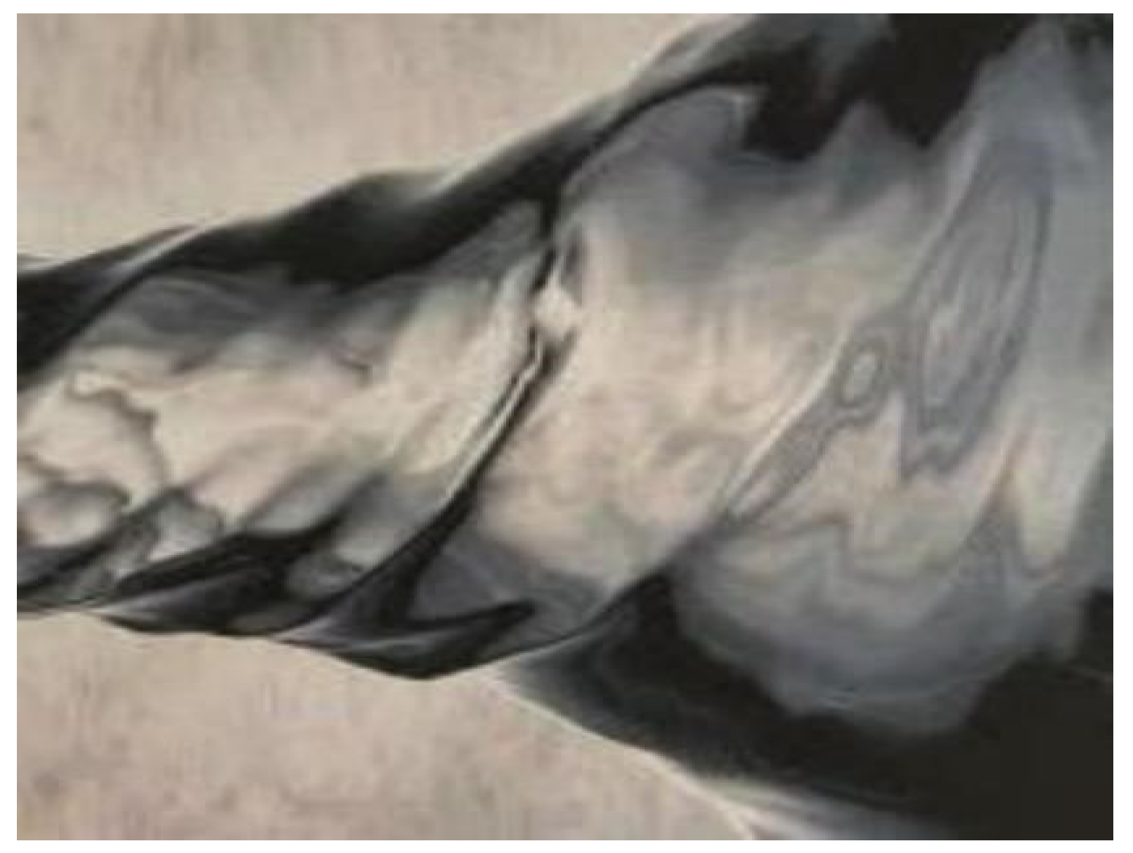 Galaxies 12 00028 g007