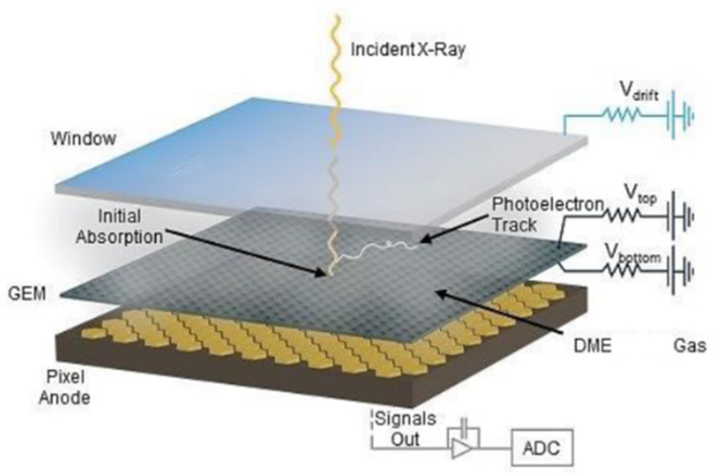 Galaxies 12 00038 g005