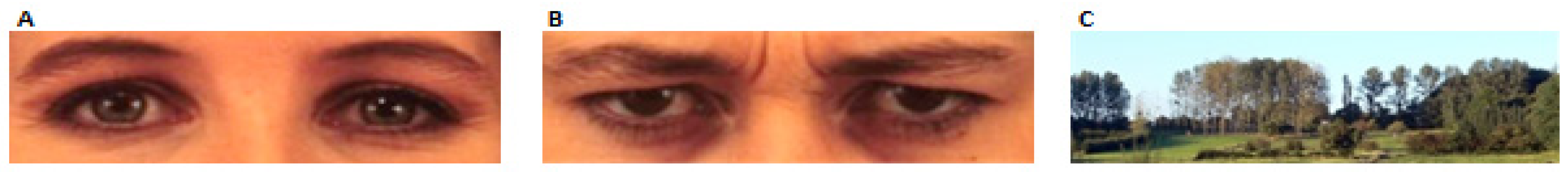 Games 08 00020 g002 550