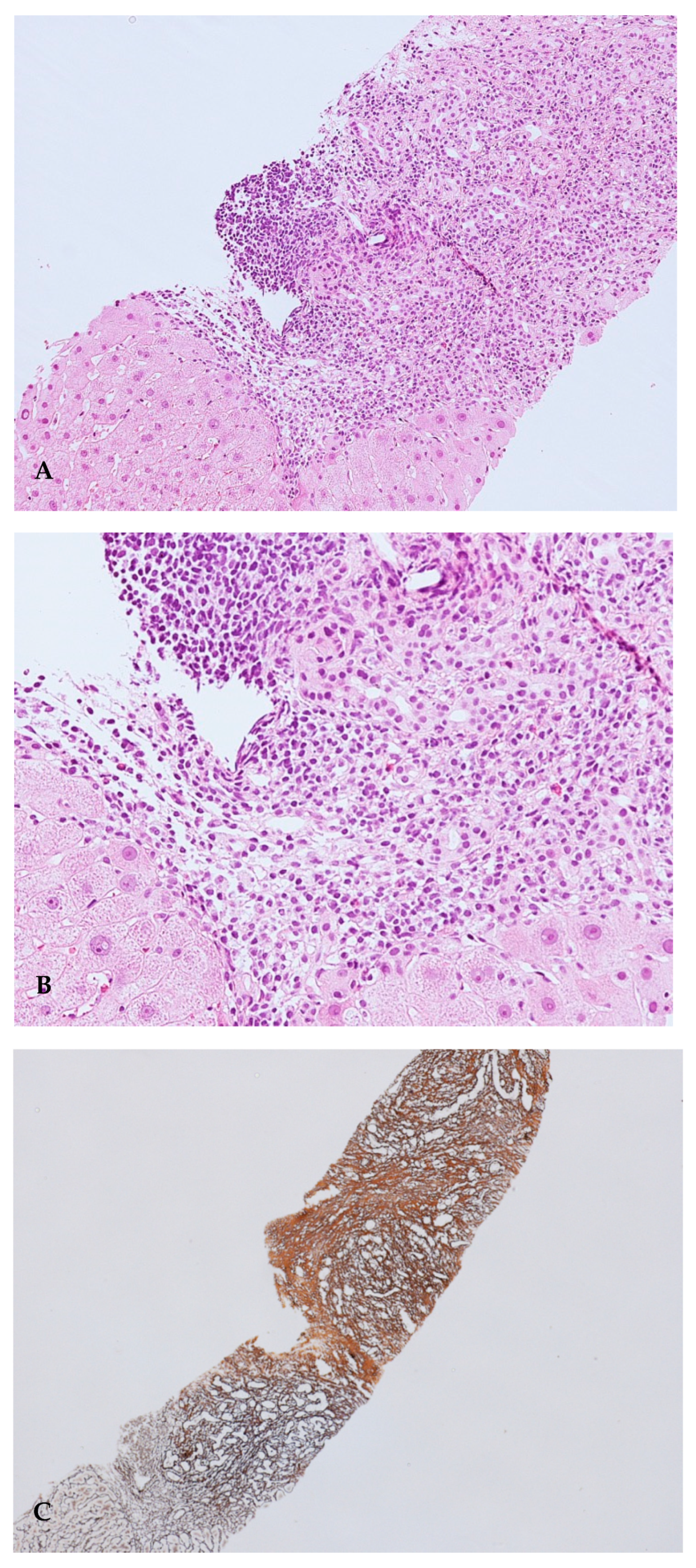Gastroent 12 00007 g002