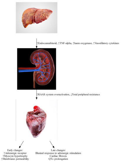 Gastroent 12 00008 g001 550