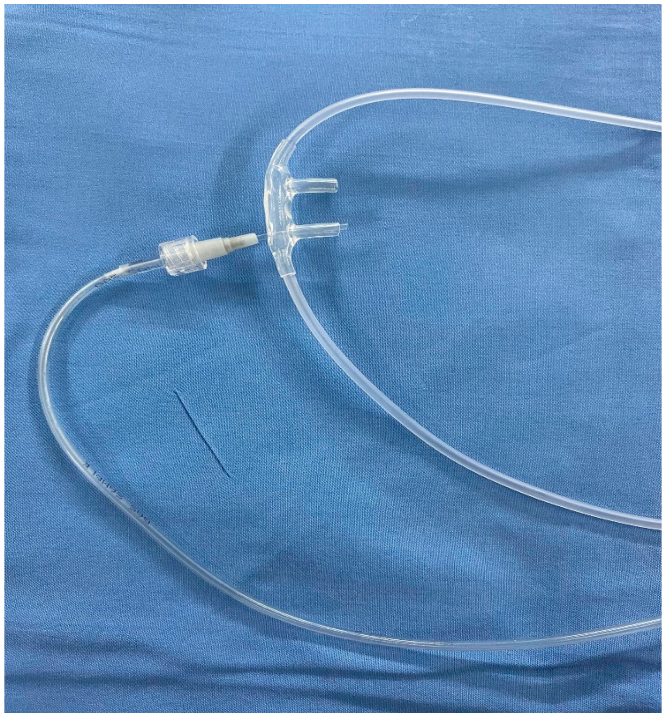 Gastroent 12 00009 g002