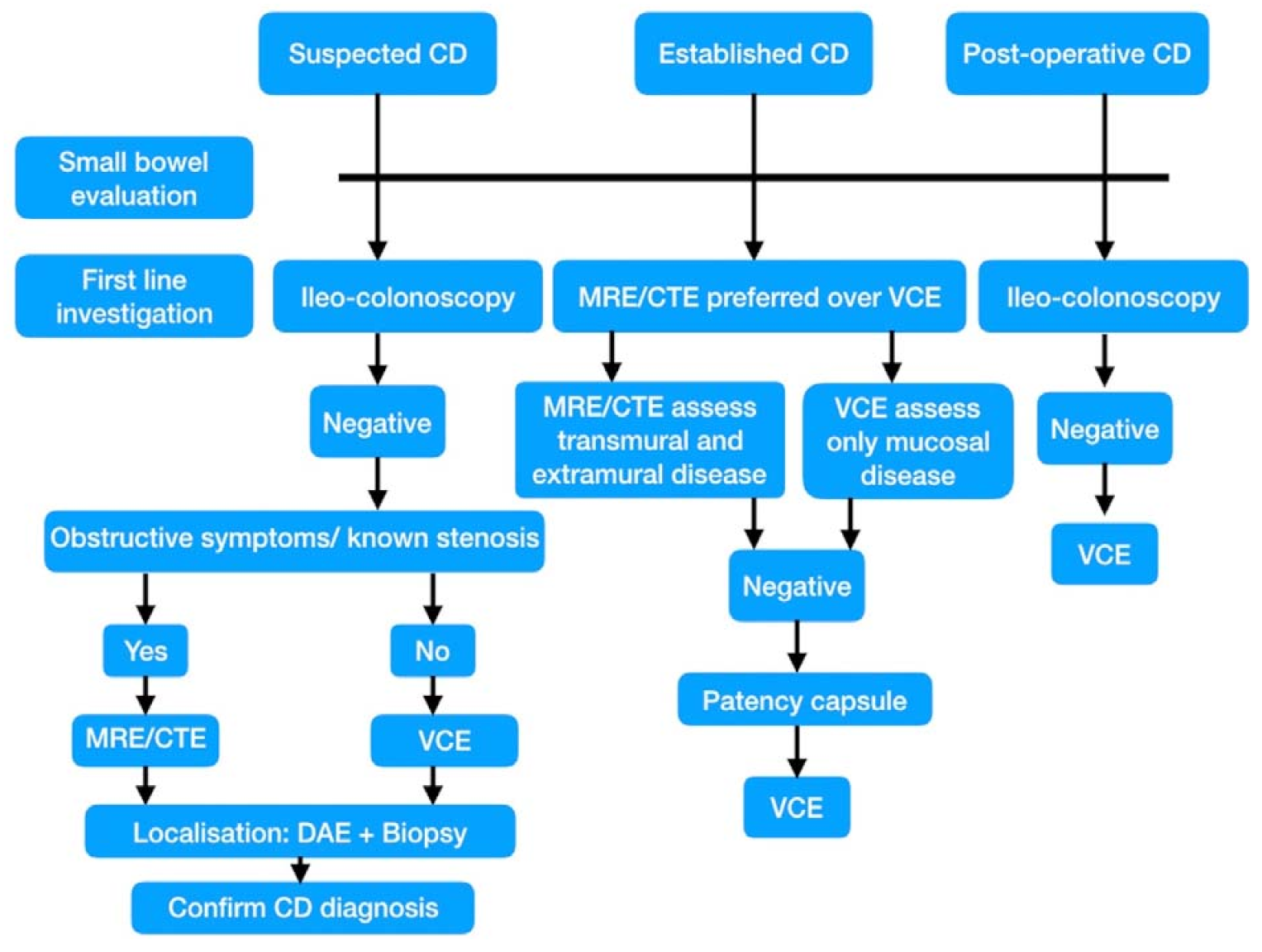 Gastroent 12 00021 g001 Gastroent 12 00021 g001