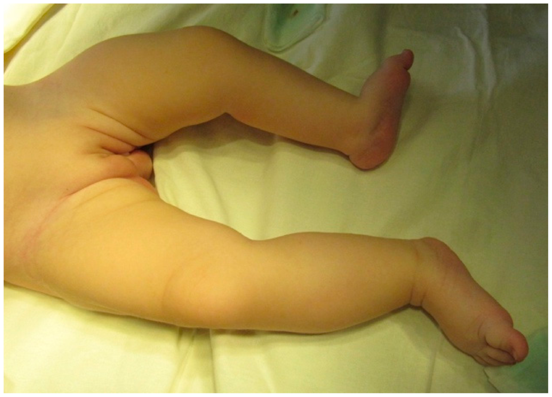 Gastroent 12 00029 g001