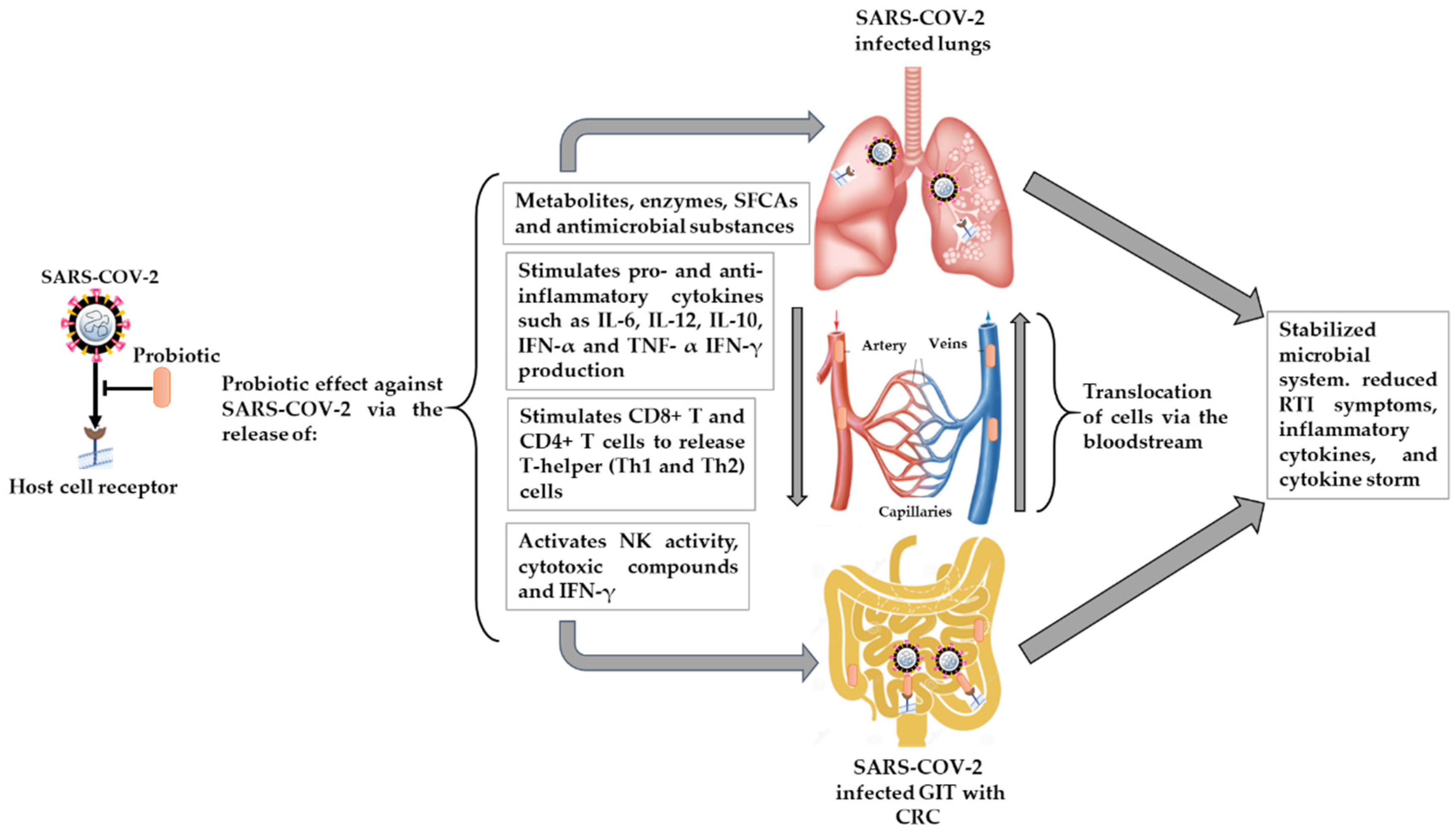 Gastroent 13 00006 g002 Gastroent 13 00006 g002