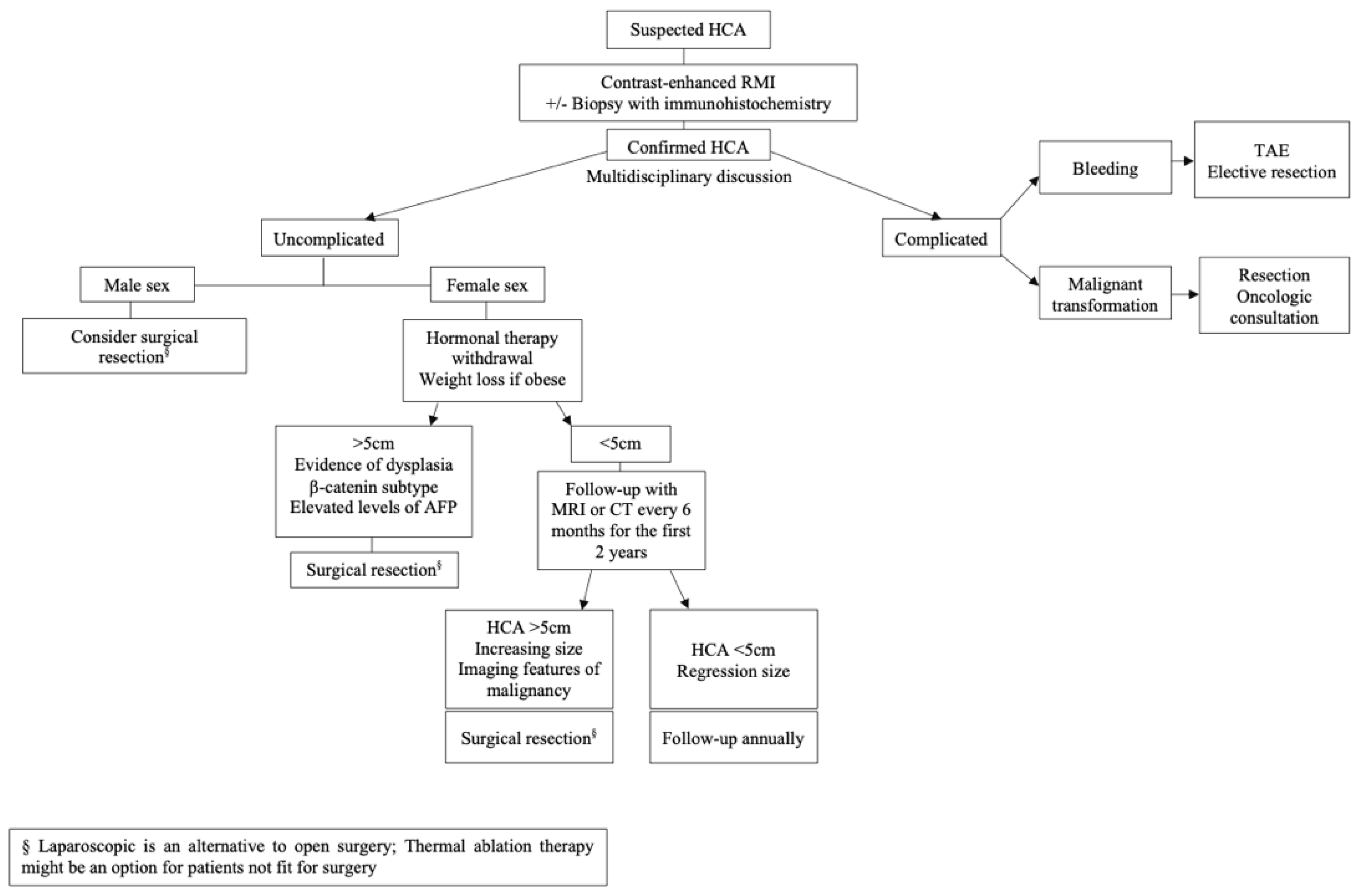 Gastroent 13 00008 g004 550