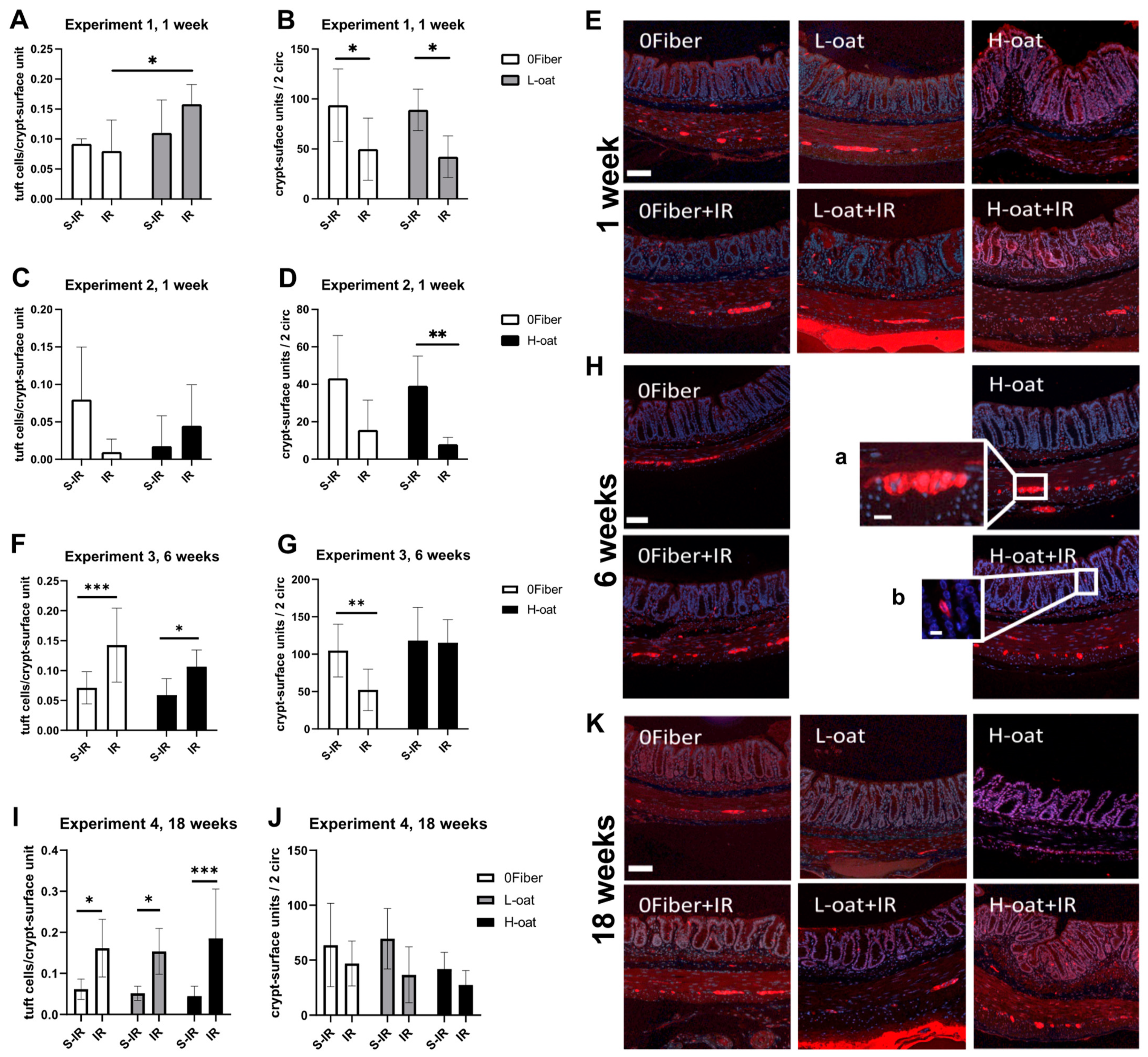 Gastroent 13 00010 g003