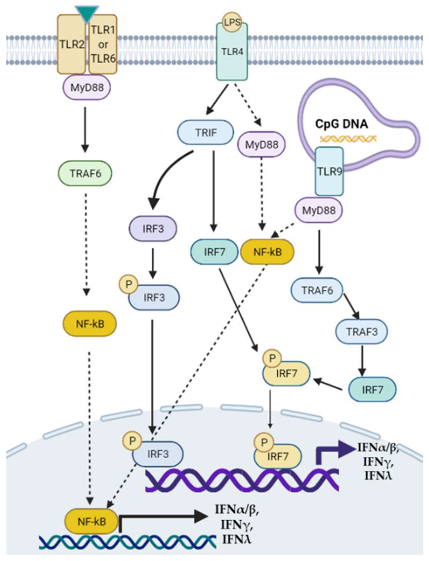 Gastroent 13 00016 g001 Gastroent 13 00016 g001