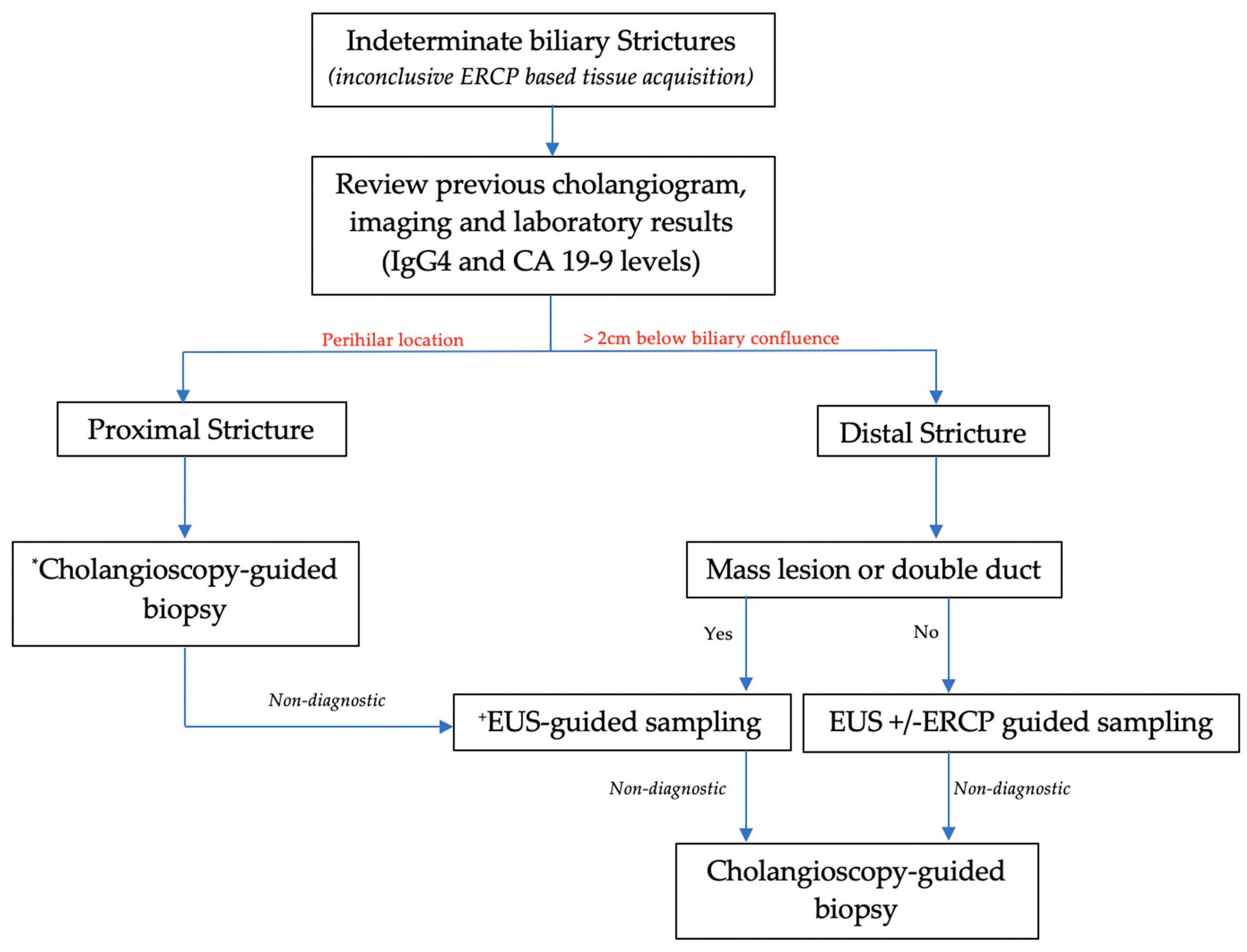 Gastroent 13 00020 g007