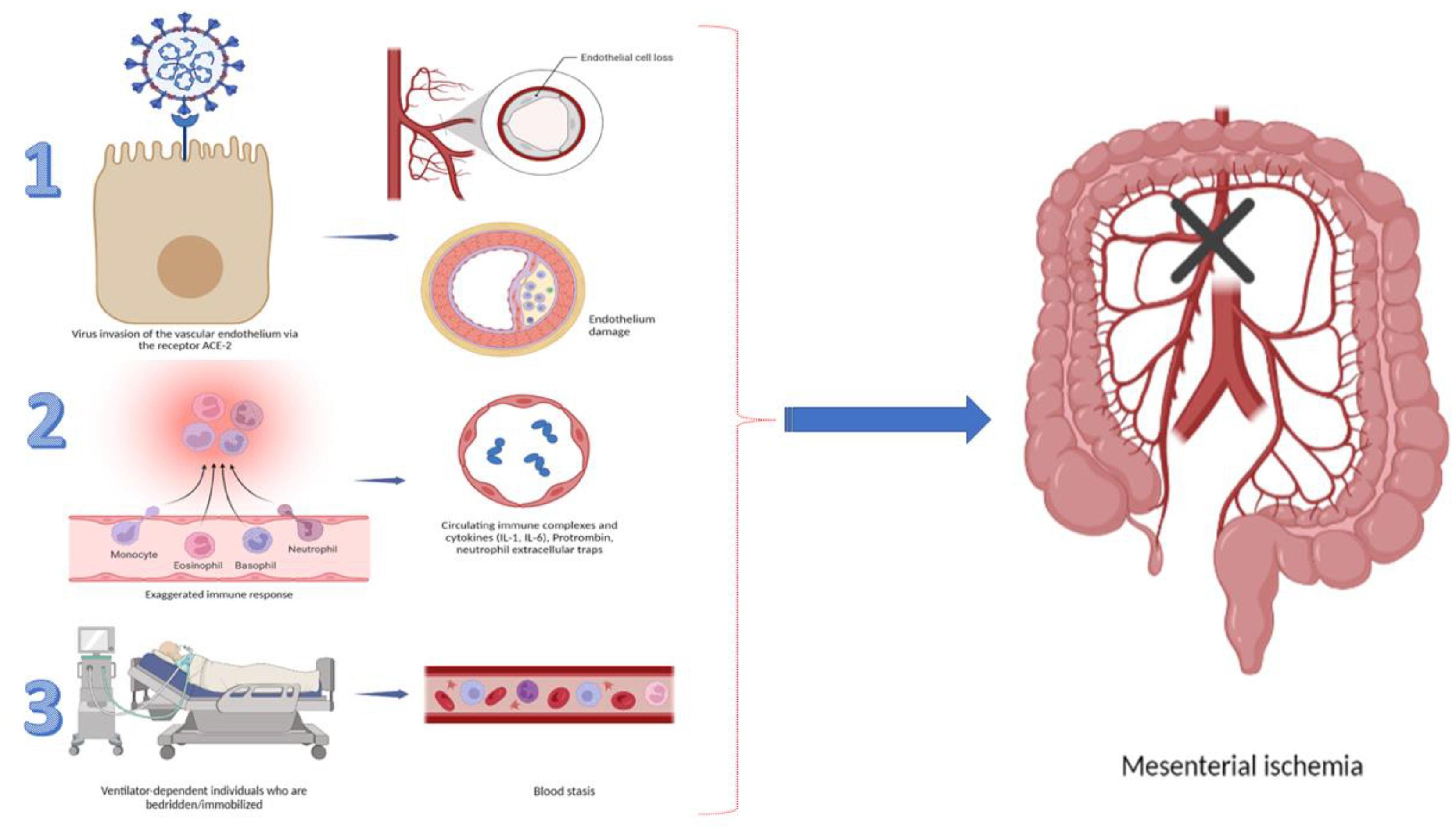 Gastroent 13 00021 g001 550